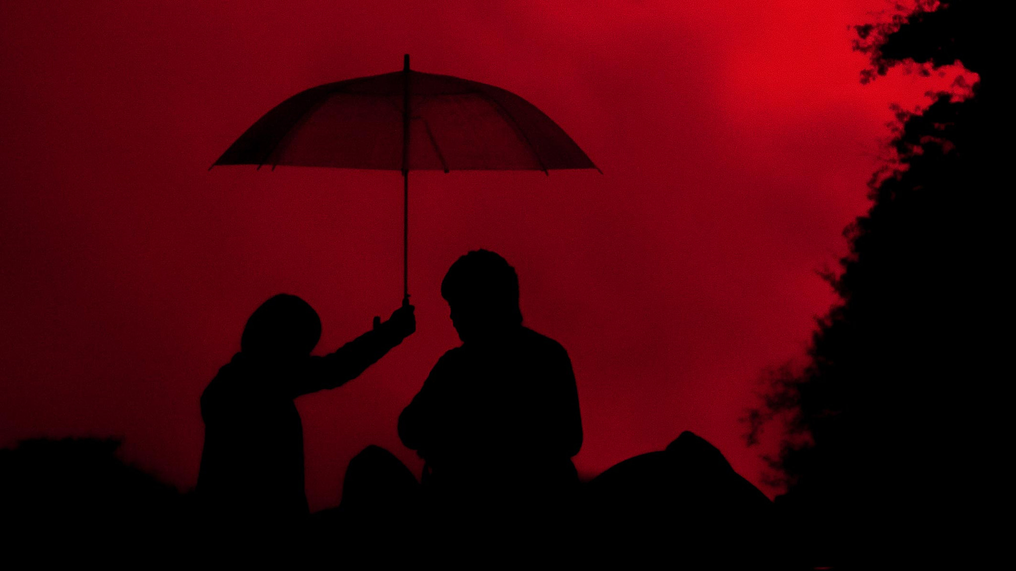 Sigma 50mm F1.4 EX DG HSM sample photo. Red rain photography