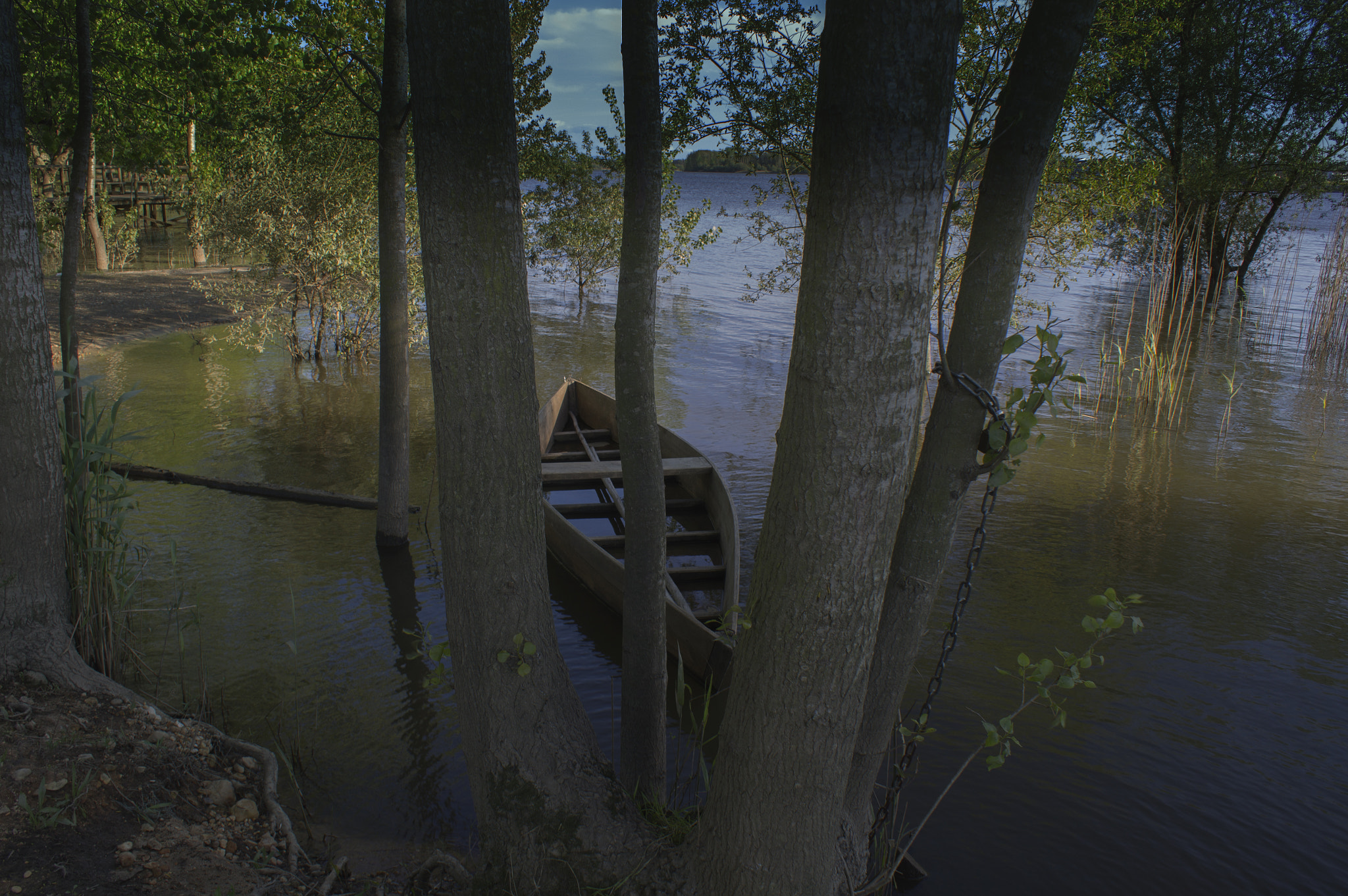 Sony SLT-A55 (SLT-A55V) sample photo. Pateira photography