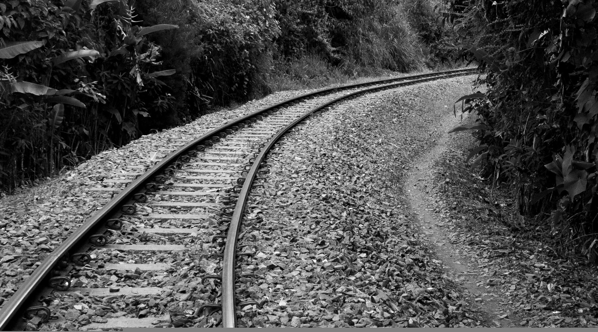 Canon EOS 1100D (EOS Rebel T3 / EOS Kiss X50) sample photo. Rieles photography