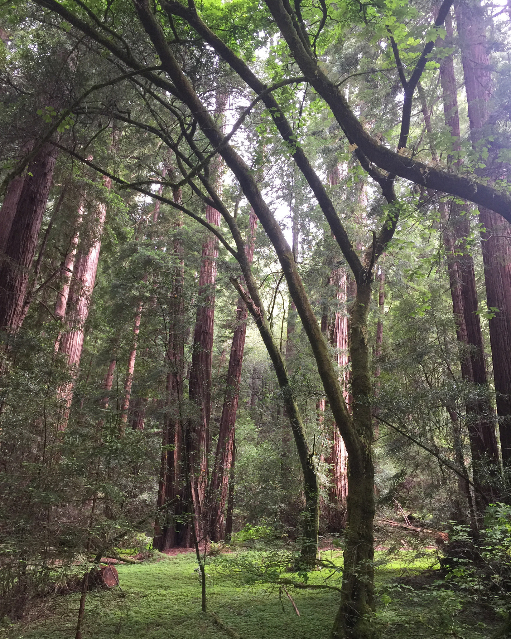 v2?sig=22bdb9d71d910dd876b35462ba373b13b39c23d6fdc40a32acb646fc467defbb