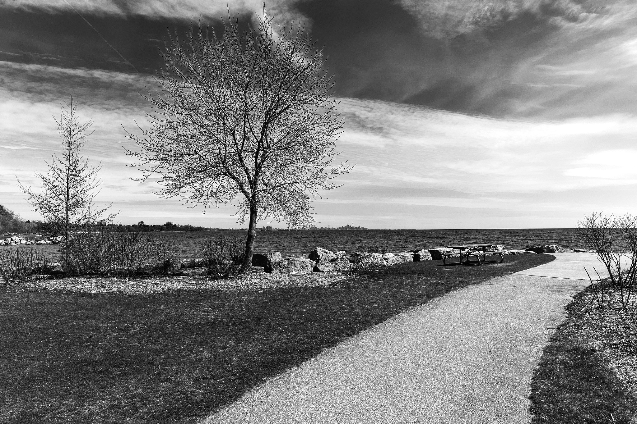 Fujifilm XC 16-50mm F3.5-5.6 OIS sample photo. Jdp photography