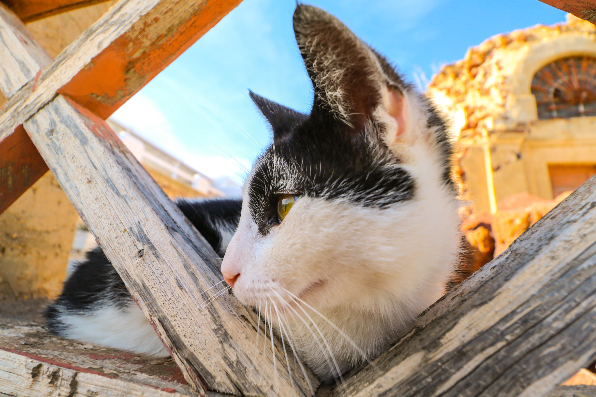 Canon EF-S 10-18mm F4.5–5.6 IS STM sample photo. No urgency... photography
