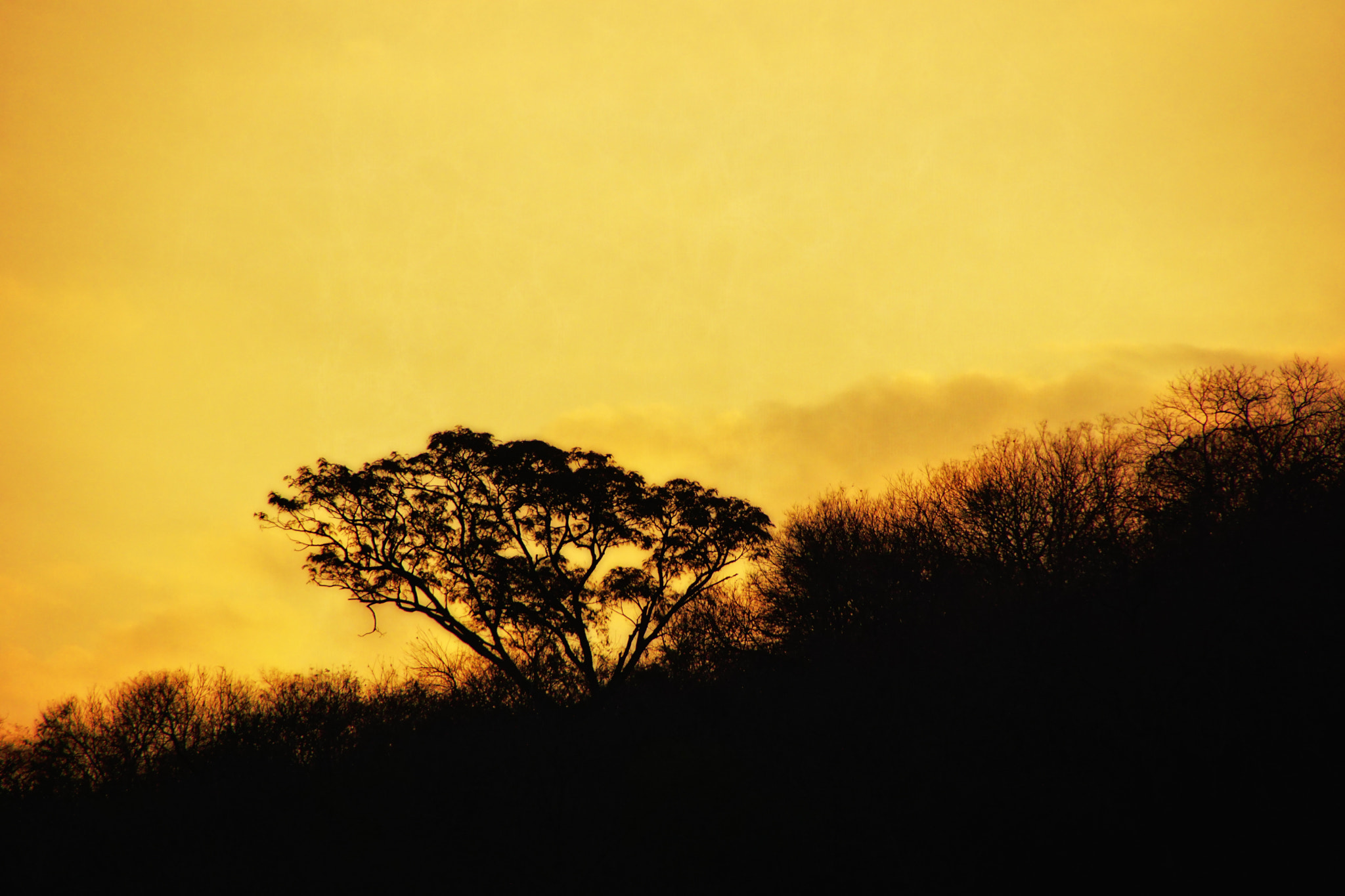 Sony DT 18-250mm F3.5-6.3 sample photo. On the road photography