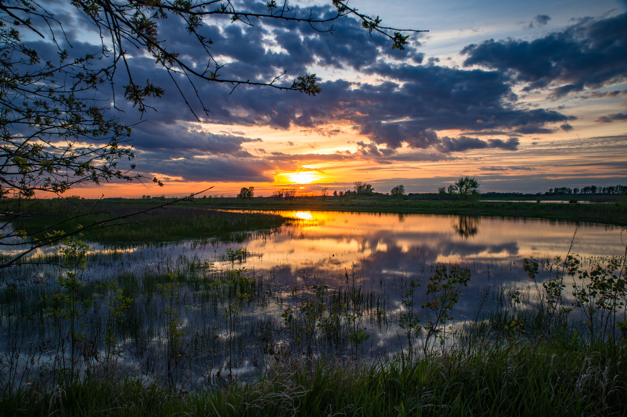 Nikon Df sample photo. Twilight photography