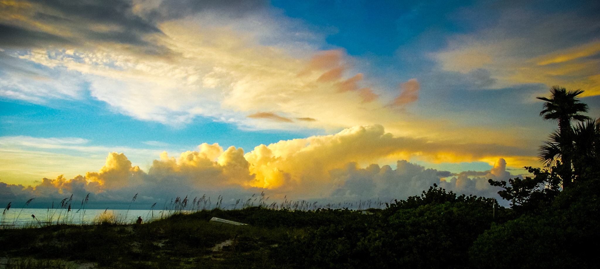 Nikon D40 sample photo. Florida sky photography