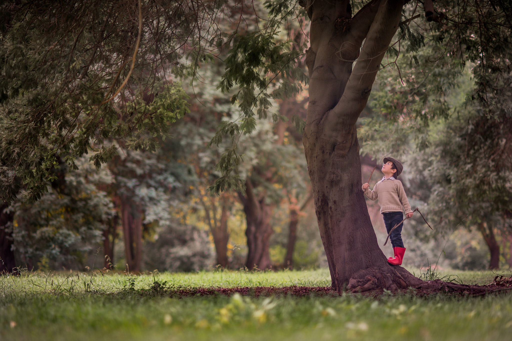 Nikon D610 + AF DC-Nikkor 135mm f/2D sample photo