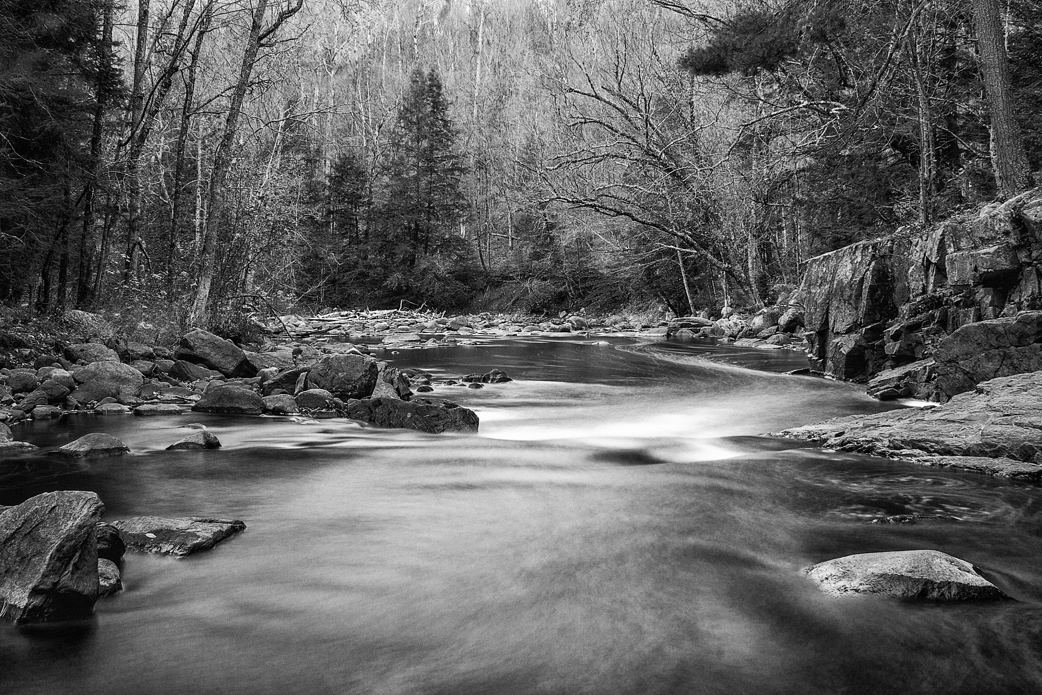 Canon EF 28-90mm f/4-5.6 sample photo. Ontario fall colours b&w photography