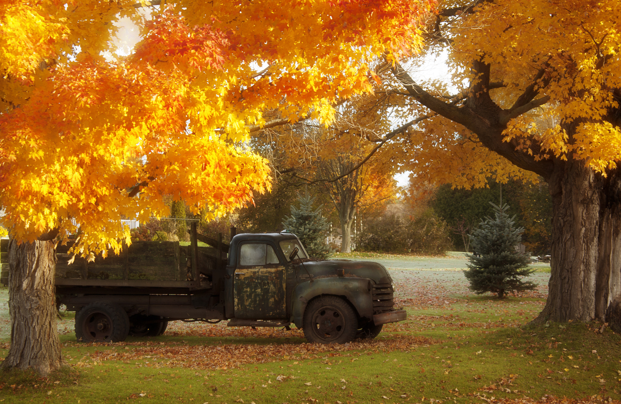 Canon EOS 450D (EOS Rebel XSi / EOS Kiss X2) sample photo. Cruising the back roads photography