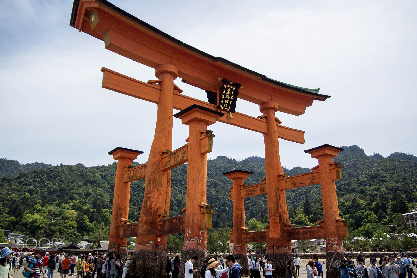 Olympus OM-D E-M5 sample photo. Miyajima itsukushima shrine photography