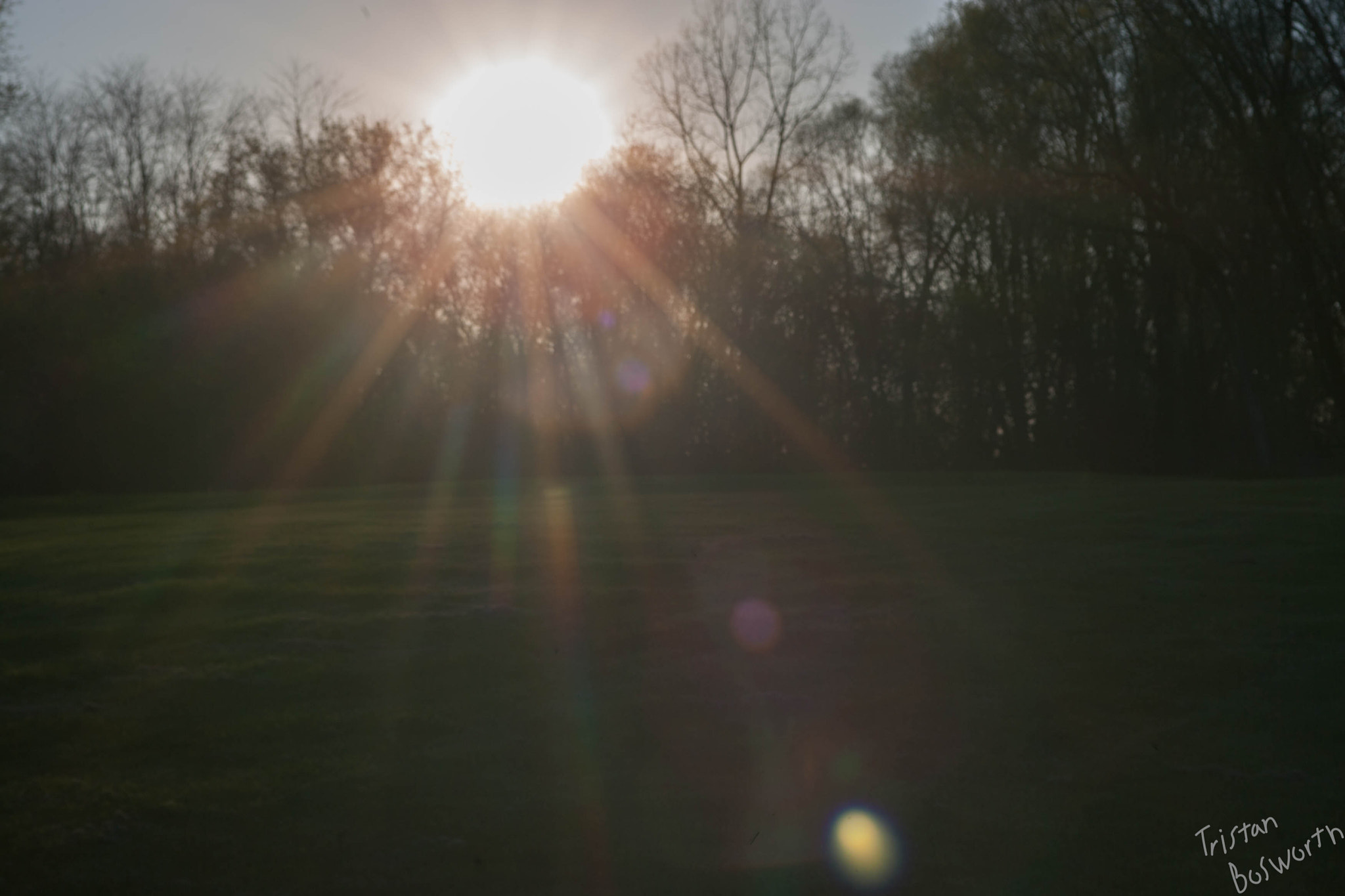 Canon EOS-1D Mark II sample photo. Shining through photography