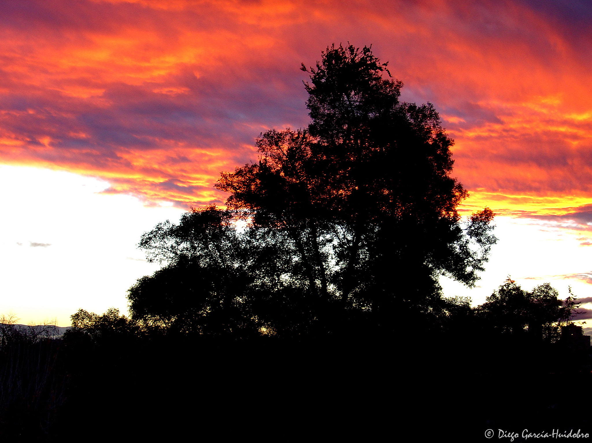 Sony DSC-V1 sample photo. Orange sunset photography