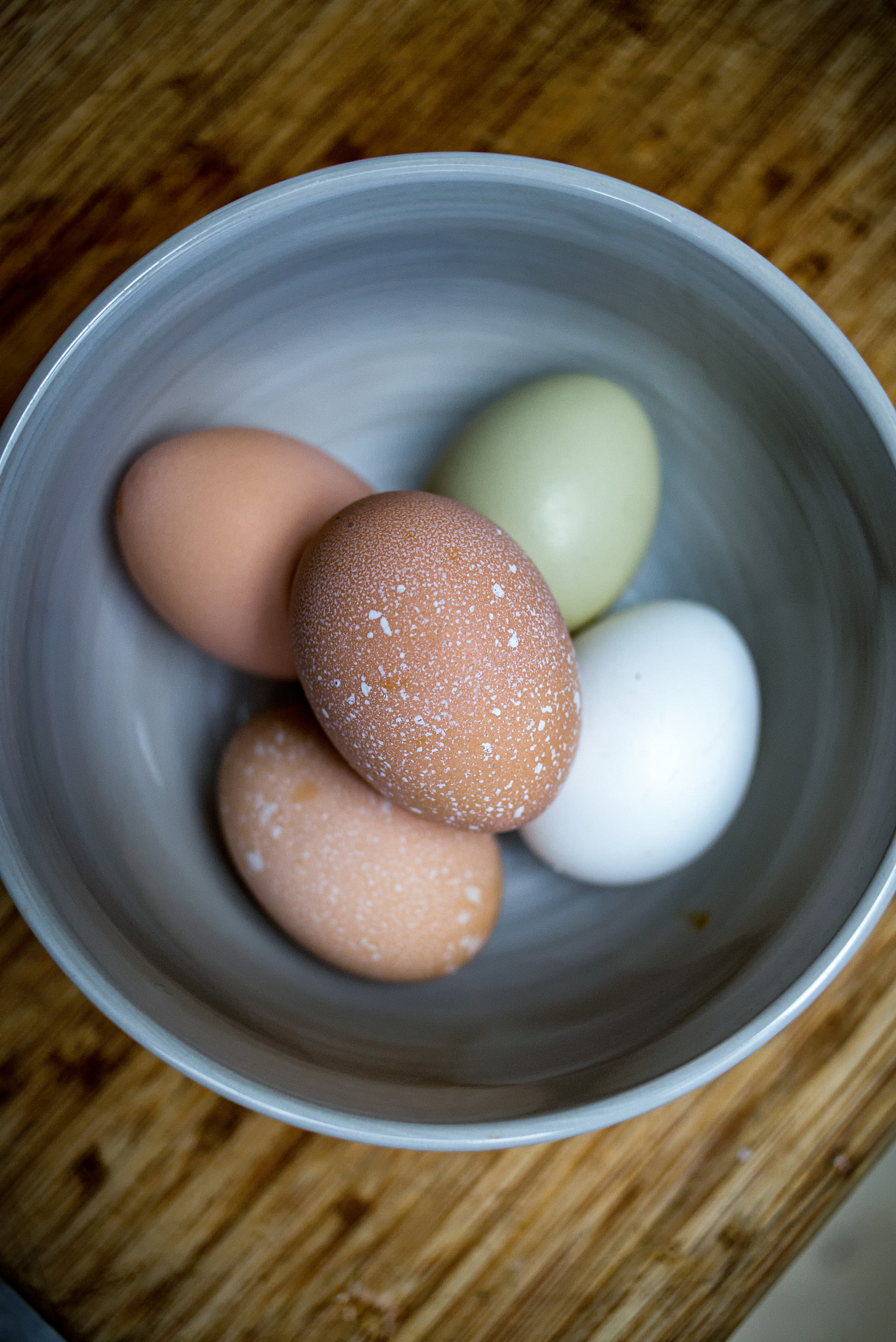 Nikon AF Nikkor 28mm F2.8D sample photo. Speckled. photography