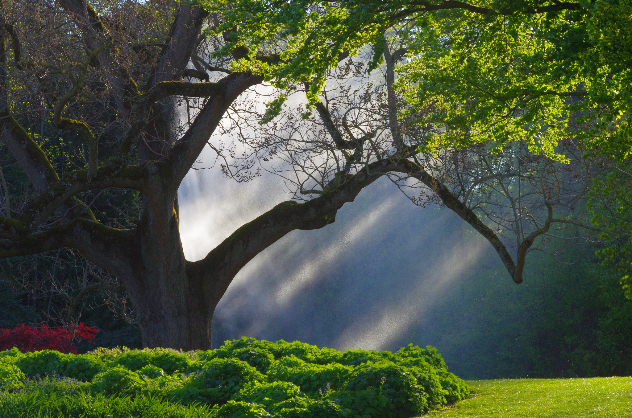 smc PENTAX-DA L 55-300mm F4-5.8 ED sample photo. Spray of a fountain with light and shadow photography