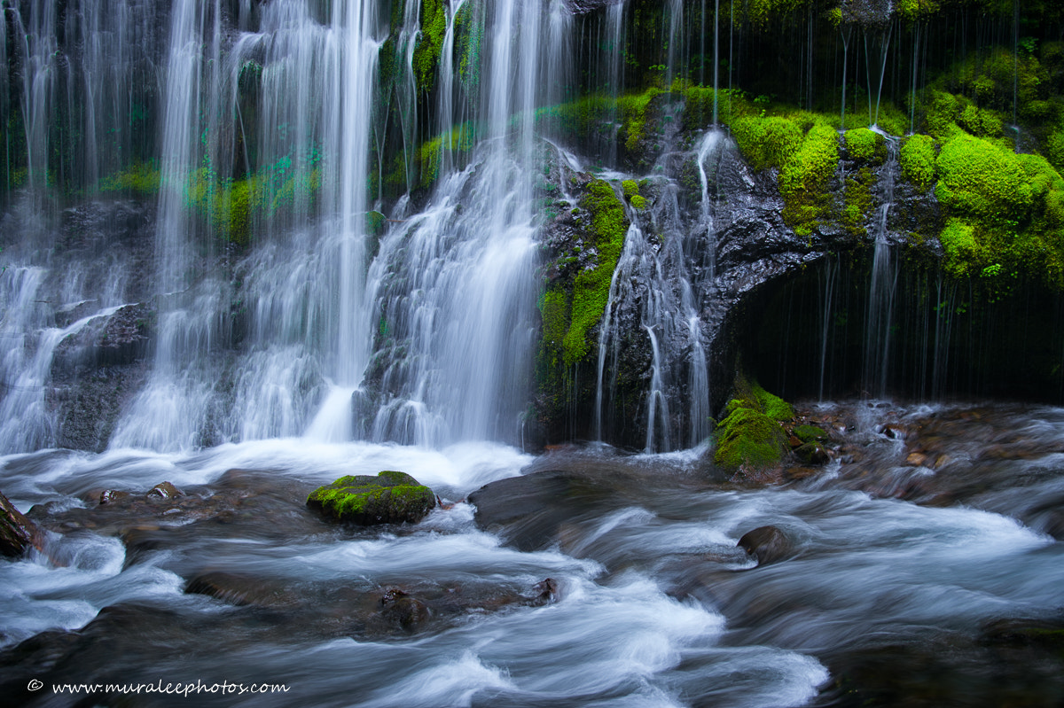Nikon Df sample photo. Flow photography