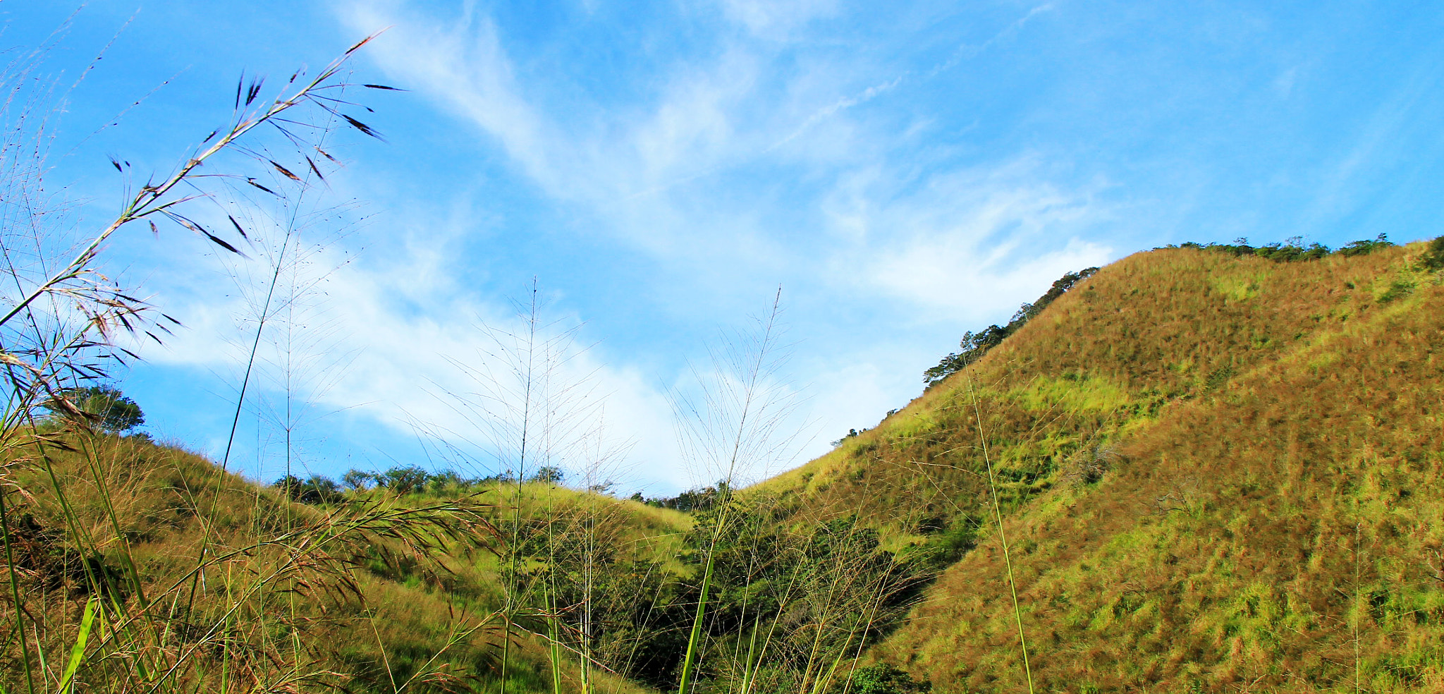 Canon EOS 1100D (EOS Rebel T3 / EOS Kiss X50) sample photo. Sierra madre photography
