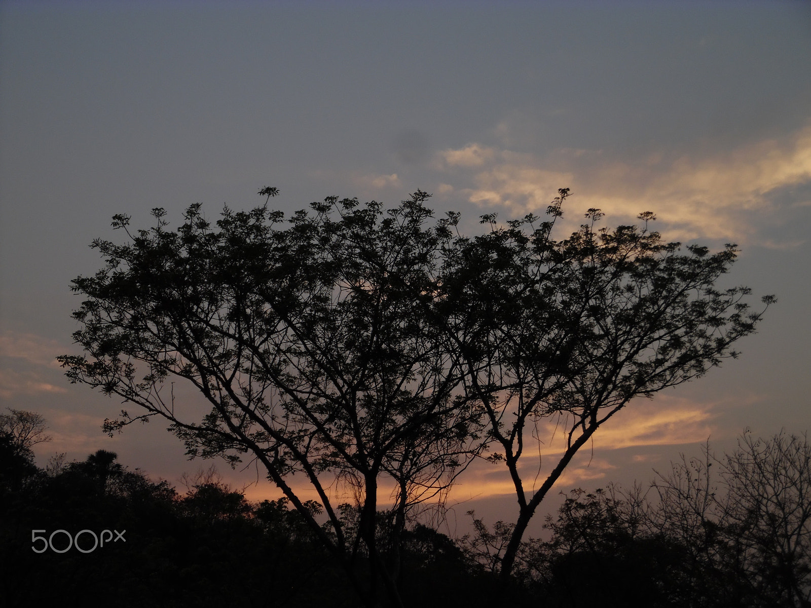 Samsung WB50F/WB51F/WB52F sample photo. Twilight photography