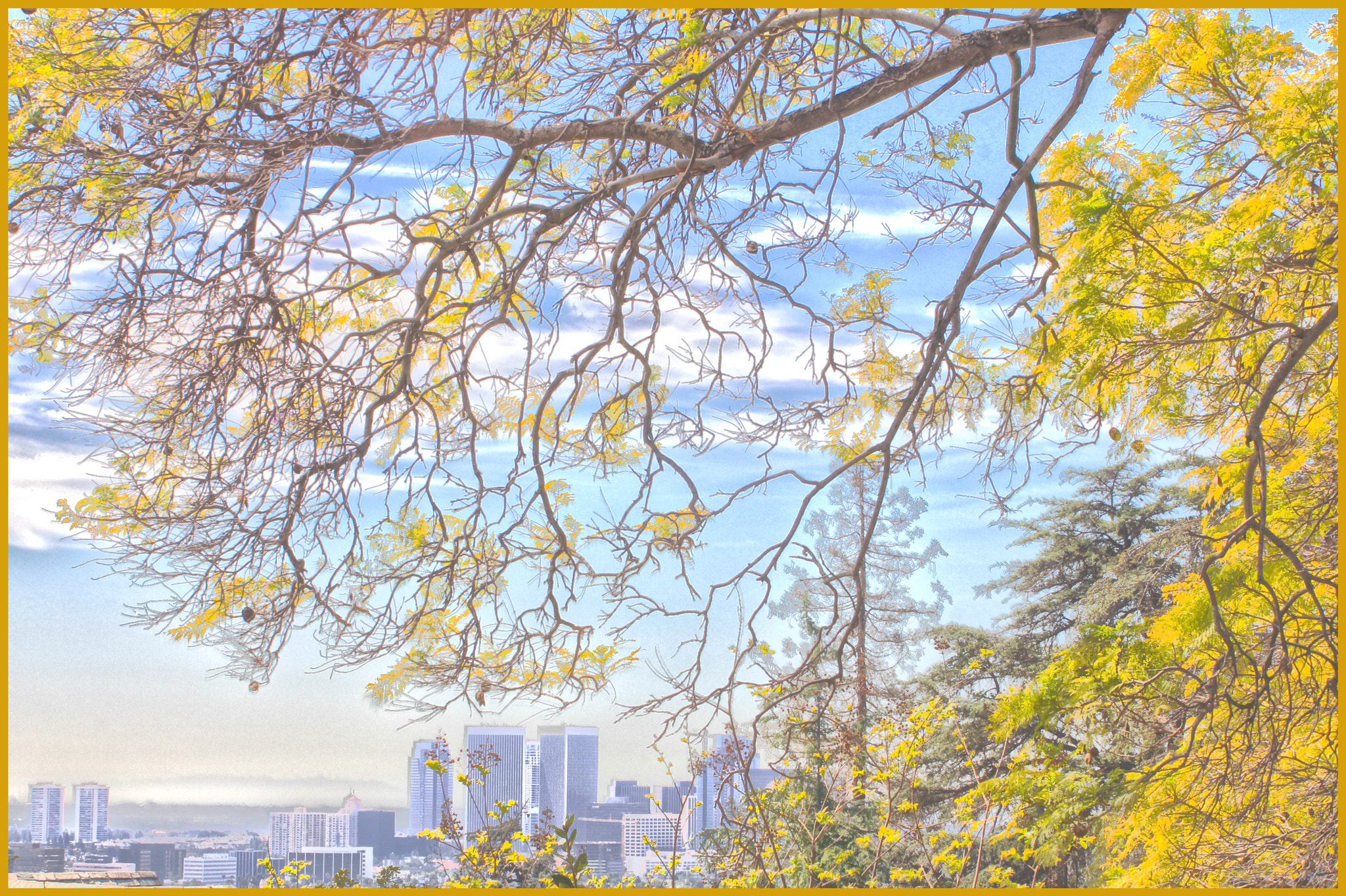 Canon EF 35-80mm f/4-5.6 sample photo. City autumn photography