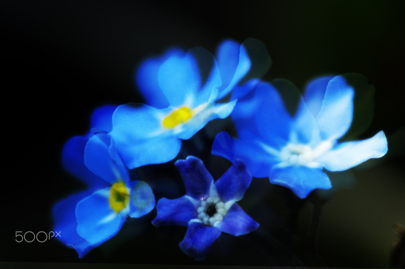 Nikon 1 V1 sample photo. Moves photography