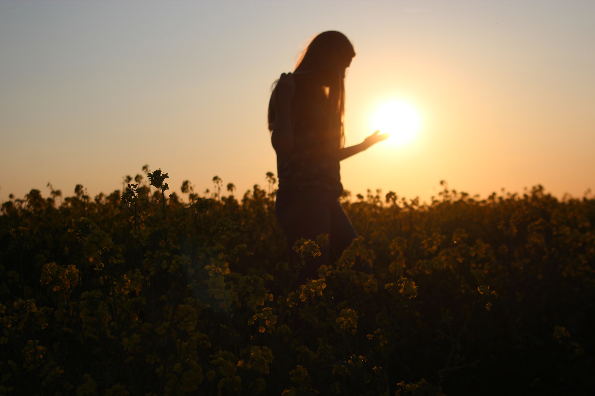 Canon EF 38-76mm f/4.5-5.6 sample photo. Touching the sun photography