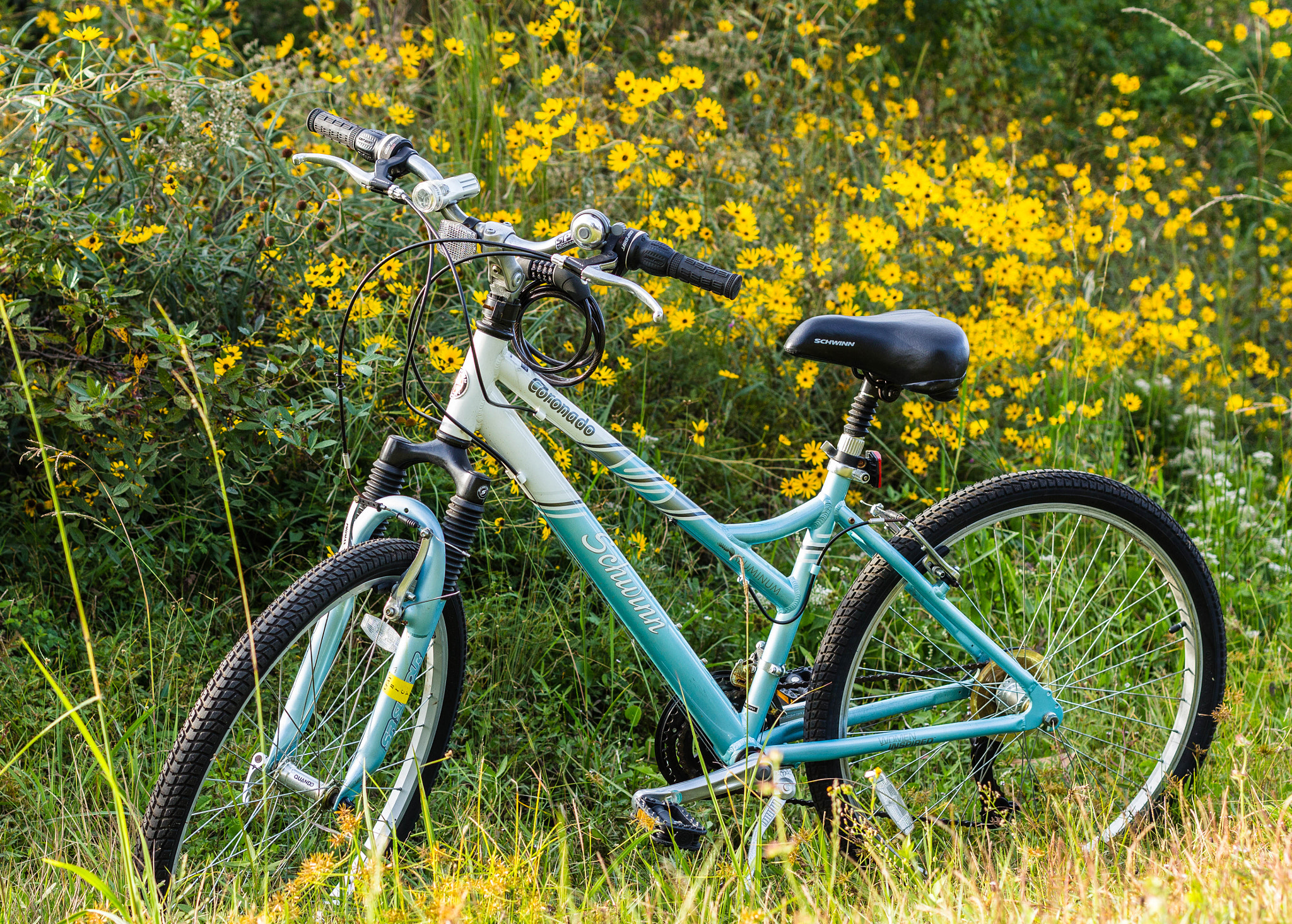 Canon EF 40mm F2.8 STM sample photo. Bike photography