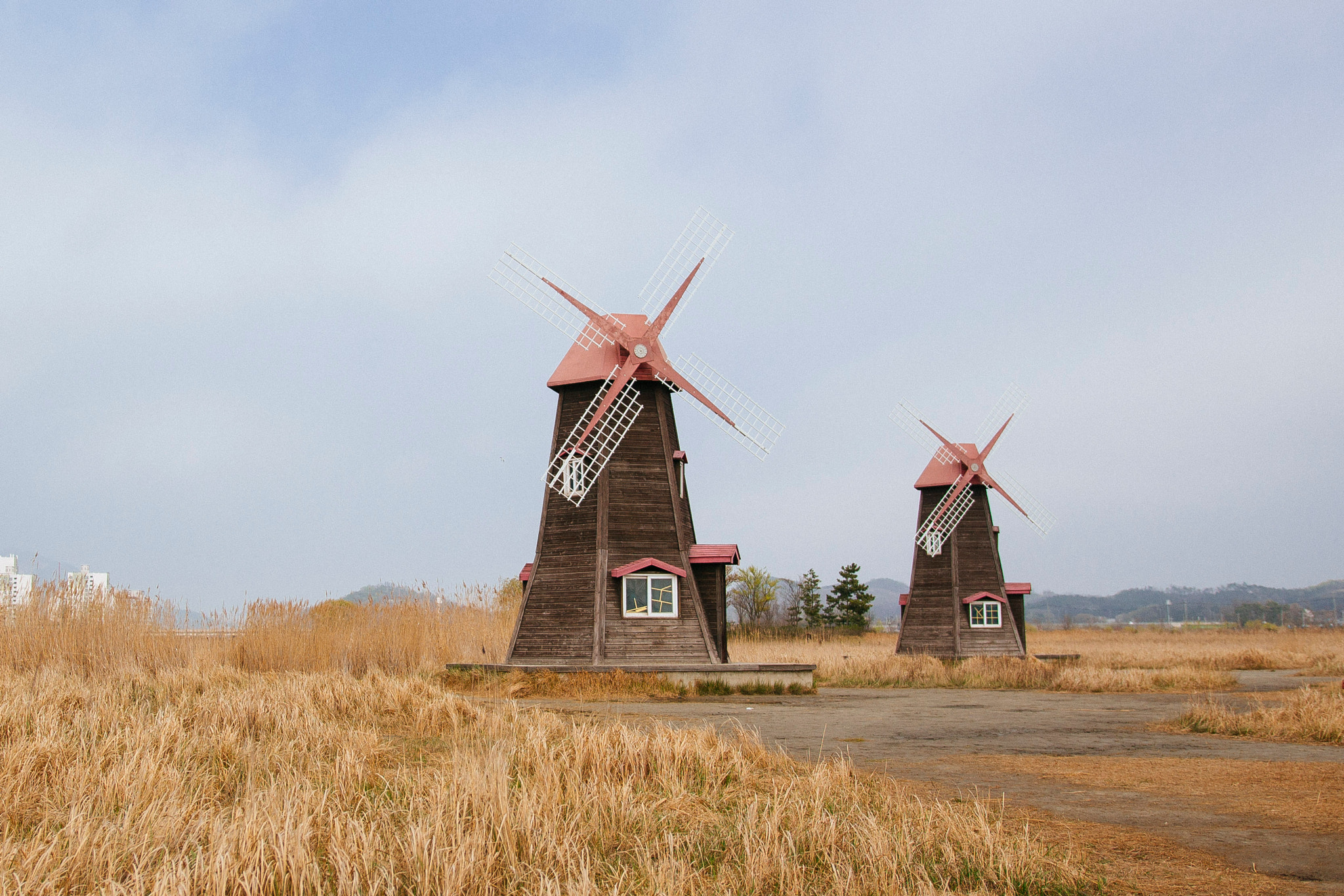 Sigma 18-35mm f/1.8 DC HSM sample photo. Winmill of soraepogu photography