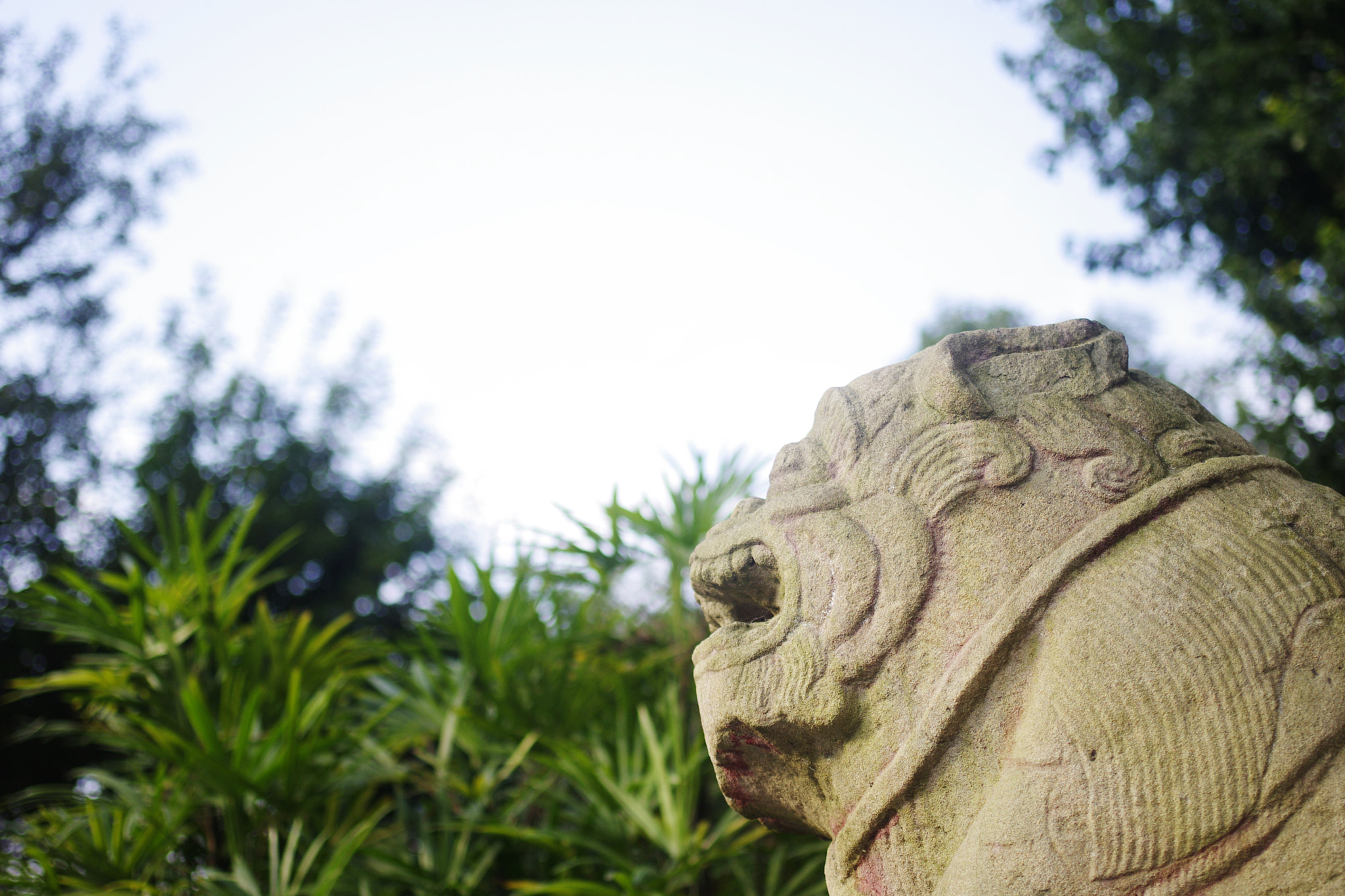 Pentax K-r + Pentax smc DA 35mm F2.4 AL sample photo. Stone lion photography
