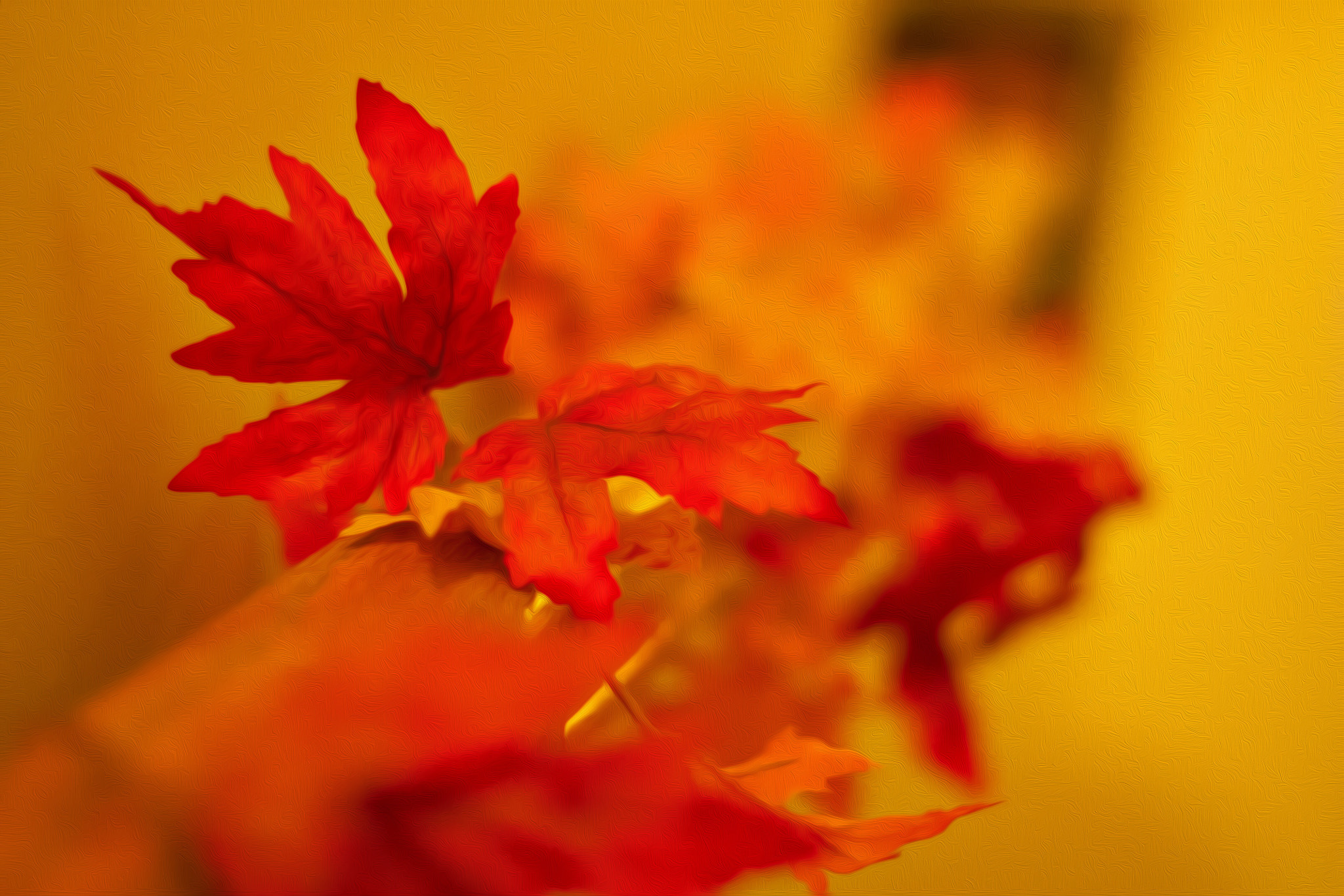 Canon EF 50mm F1.4 USM sample photo. Photographed and processed in adobe cc. photography