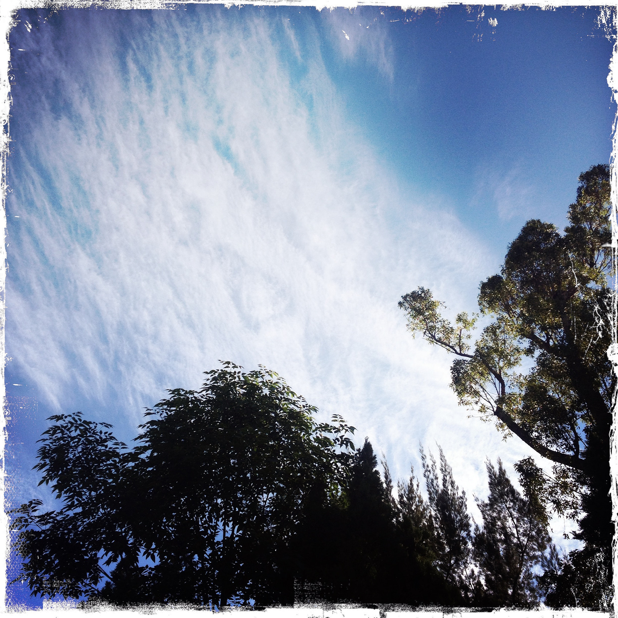 Hipstamatic 278 sample photo. Sky in chapalita photography