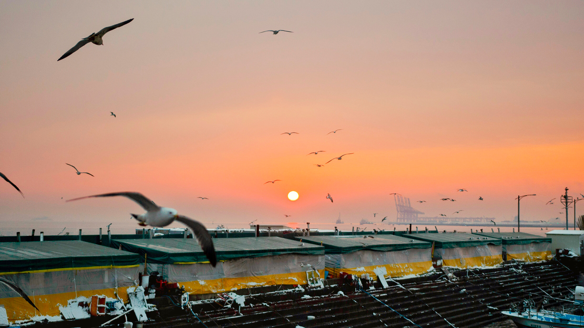 Sigma 18-35mm f/1.8 DC HSM sample photo. Sunset of oido photography