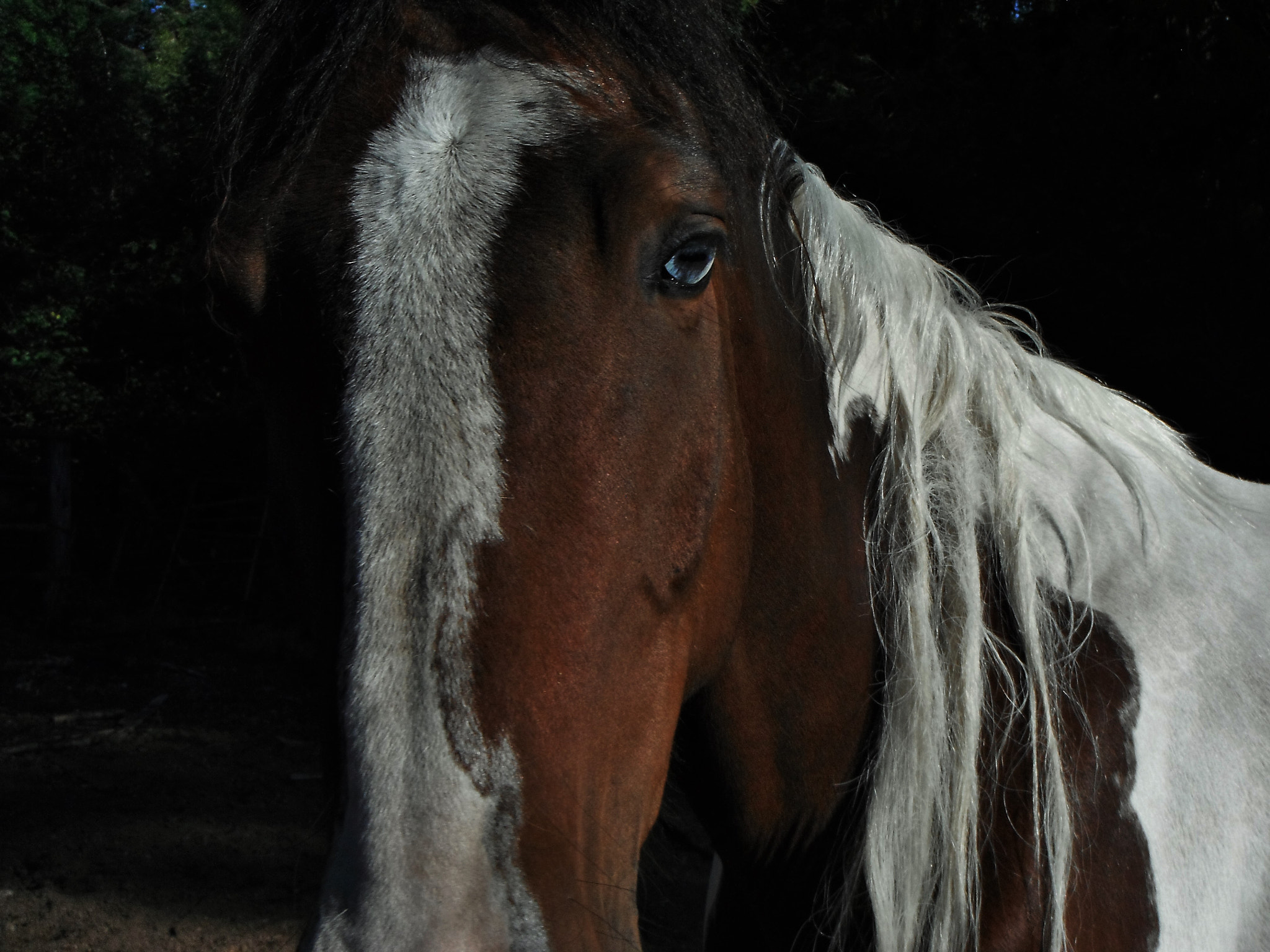 Fujifilm FinePix XP20 sample photo. Into the eyes another photography