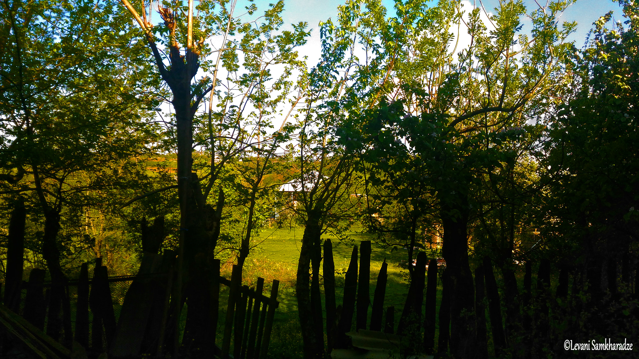 ASUS ZenFone 2 Laser (ZE550KL) sample photo. Landscape at my village photography