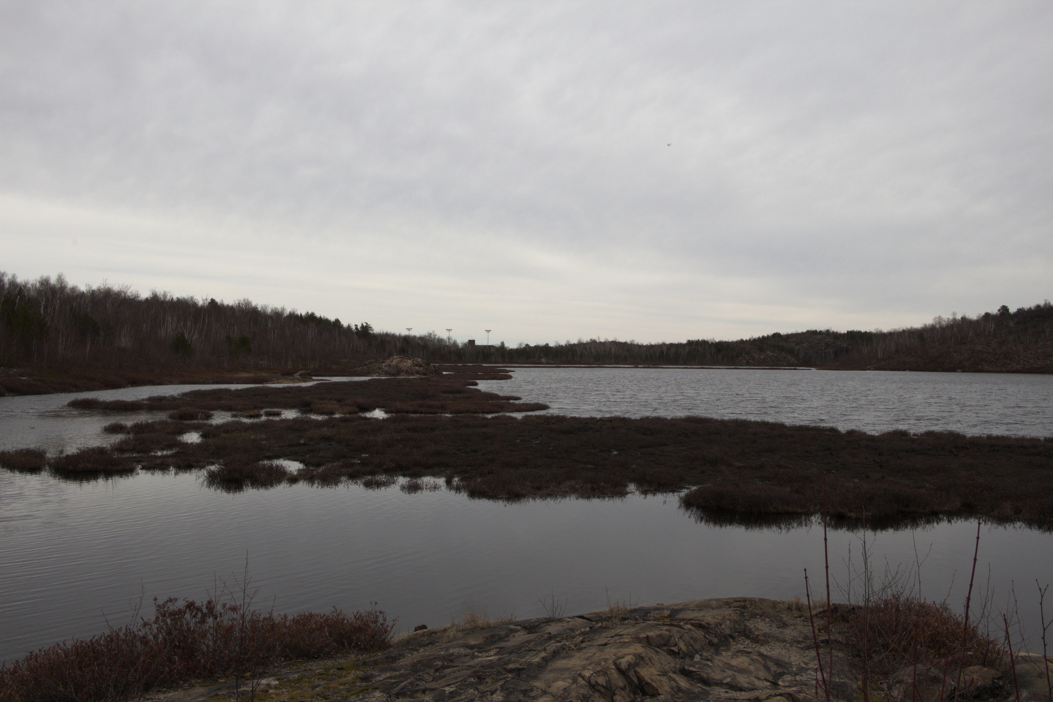 Canon EF-S 18-135mm F3.5-5.6 IS STM sample photo. Sudbury - bennet lake (spring) photography