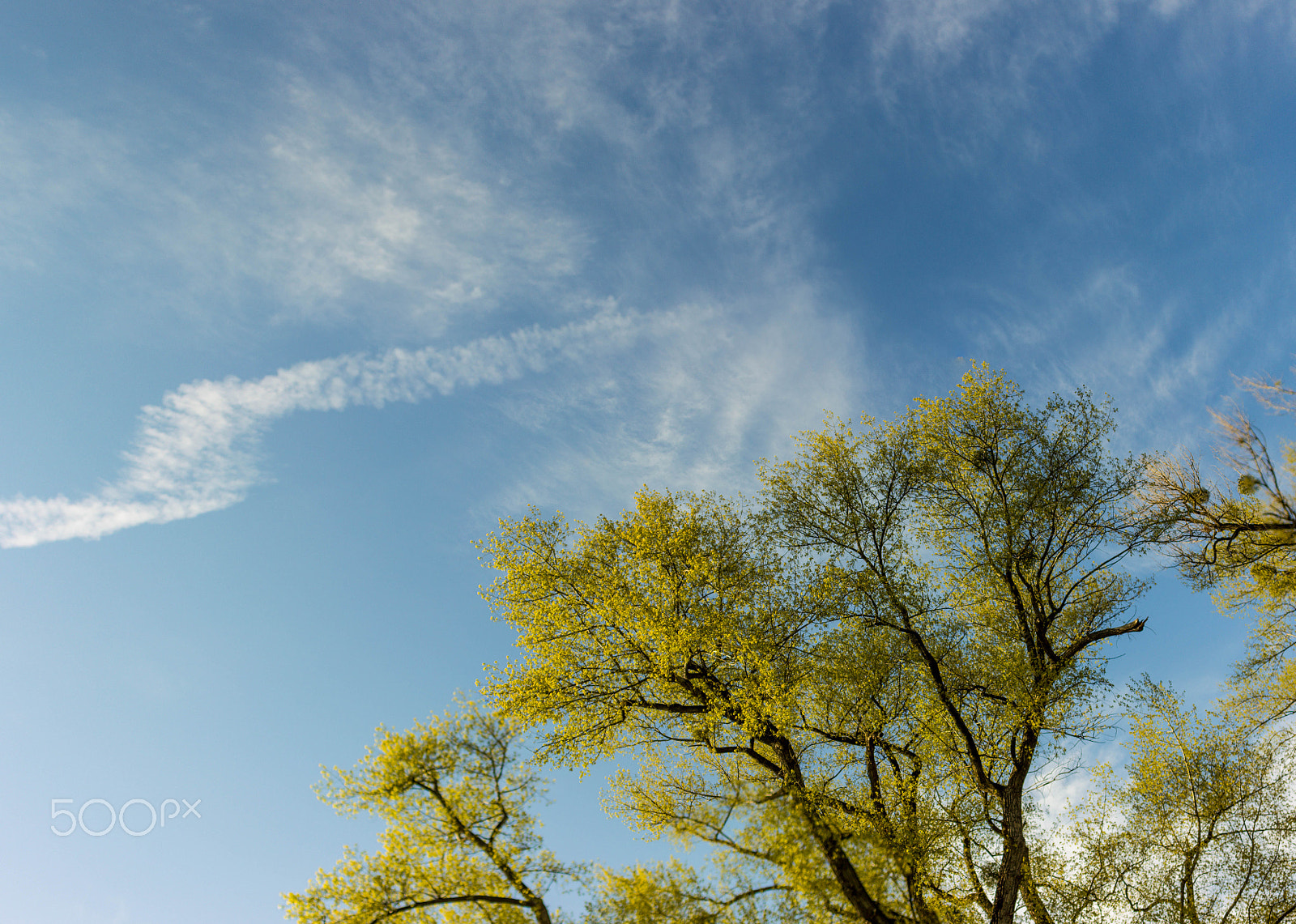 Canon EOS 600D (Rebel EOS T3i / EOS Kiss X5) + Canon EF 28mm F2.8 IS USM sample photo. Summervibes photography