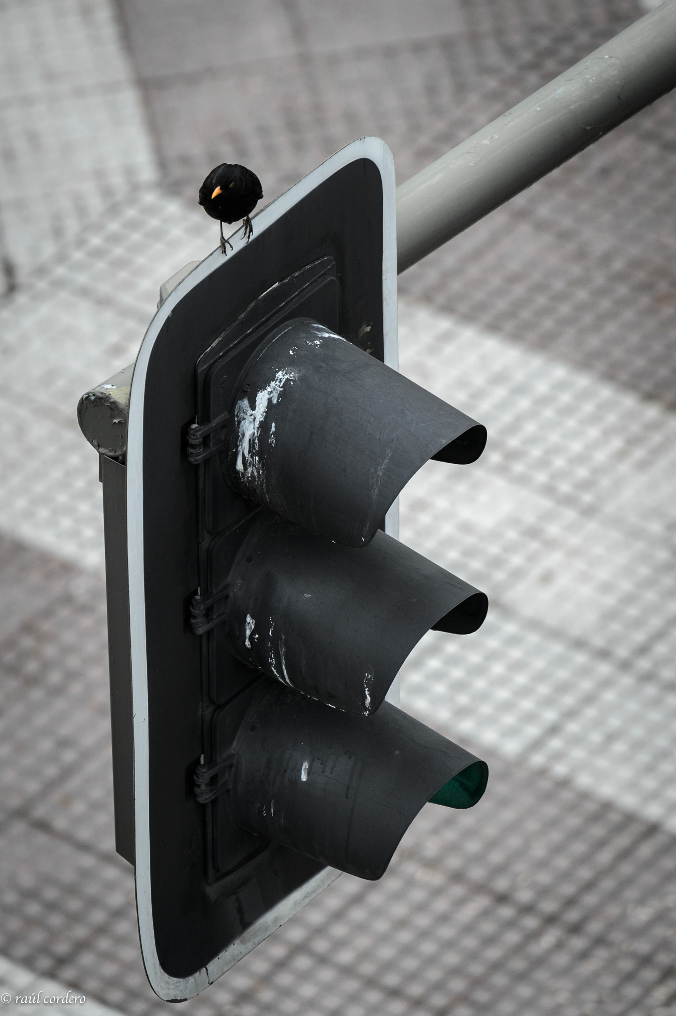 Nikon D4 sample photo. Guardia urbano photography