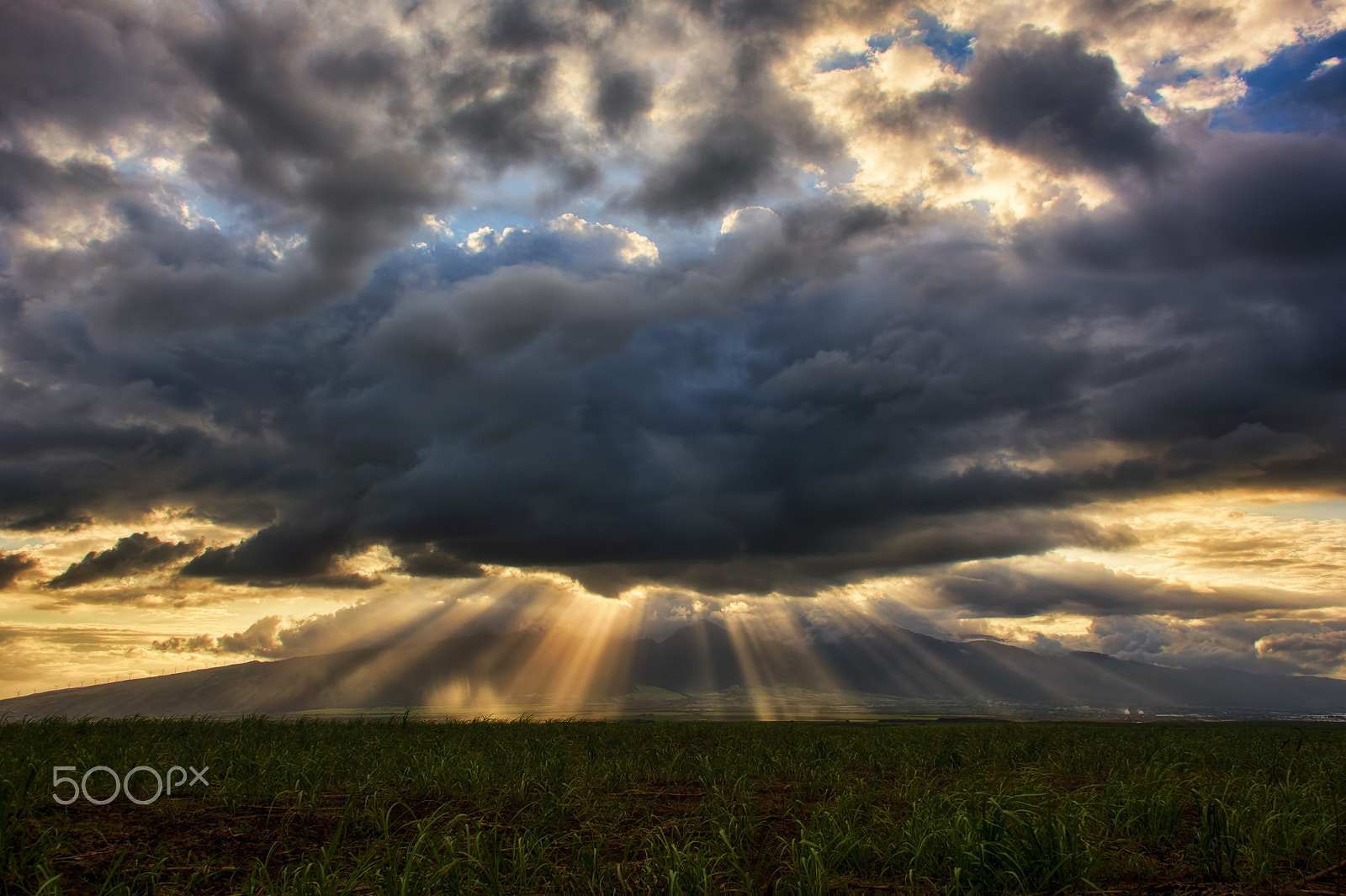 Sigma 18-50mm F2.8-4.5 DC OS HSM sample photo. Maui sunbeams photography