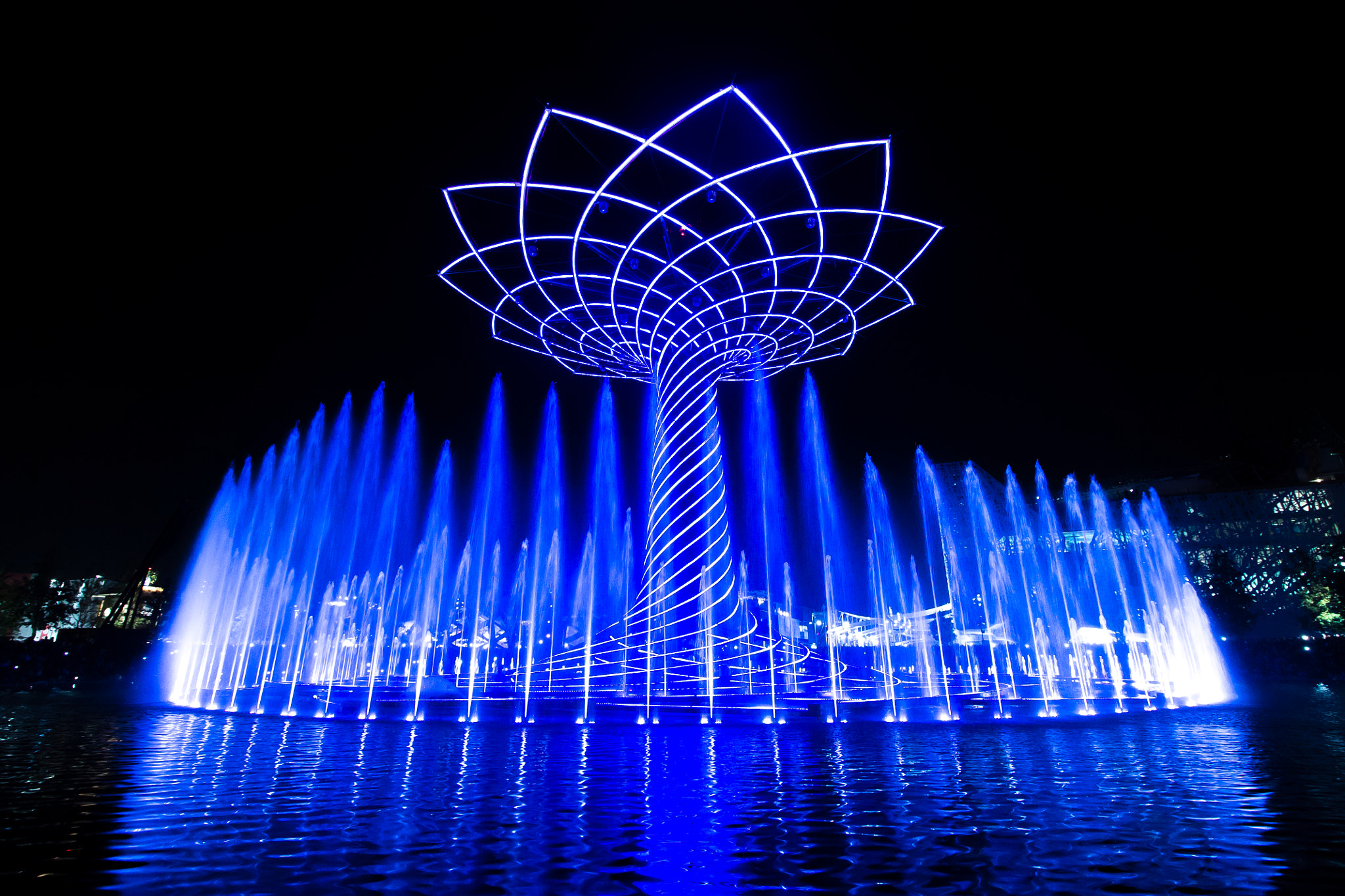 Canon EF-S 10-18mm F4.5–5.6 IS STM sample photo. Tree of life-expo 2015 photography