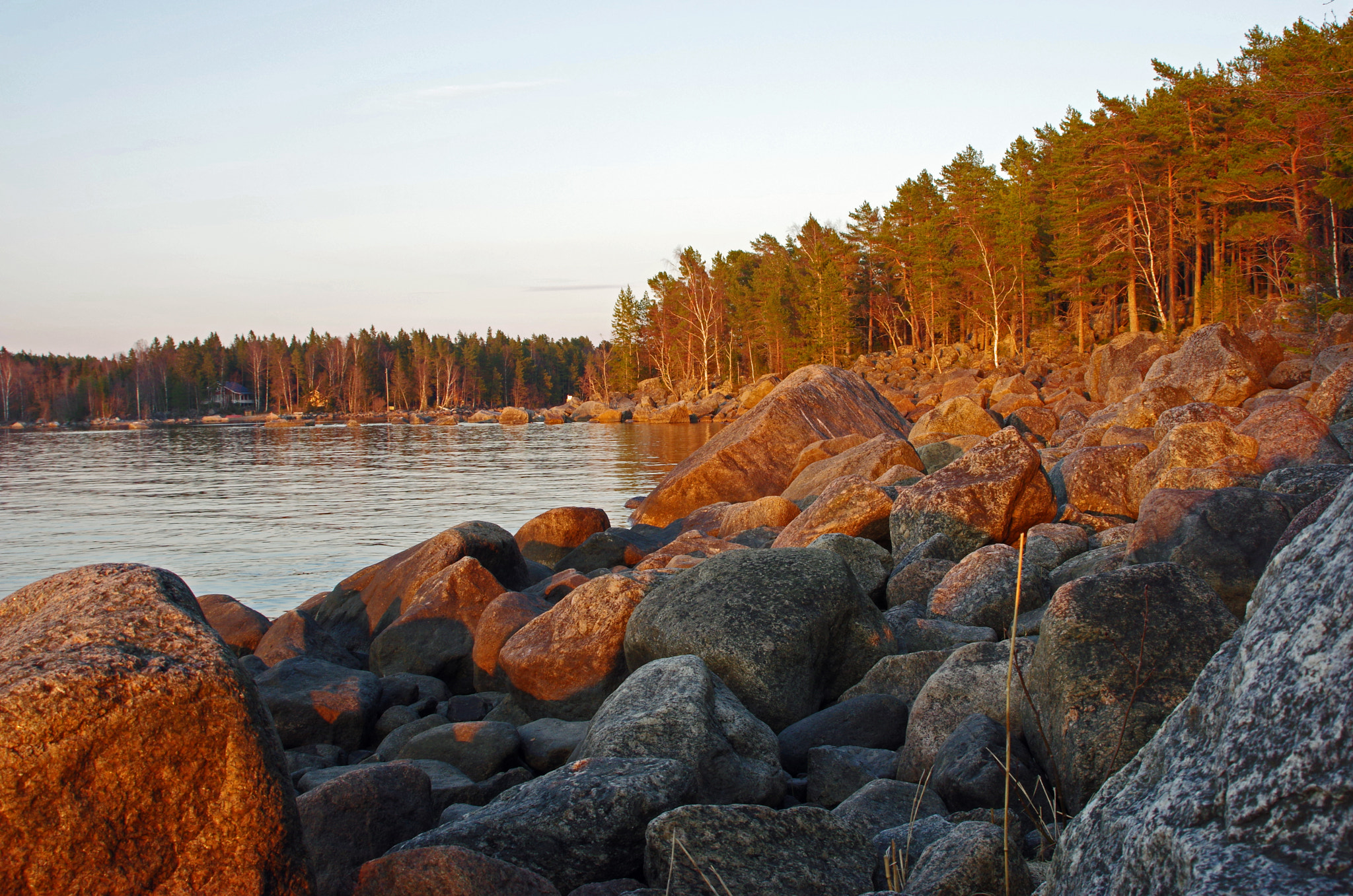 Tamron AF 28-300mm F3.5-6.3 XR Di LD Aspherical (IF) Macro sample photo. Sunbathe on the rocks photography