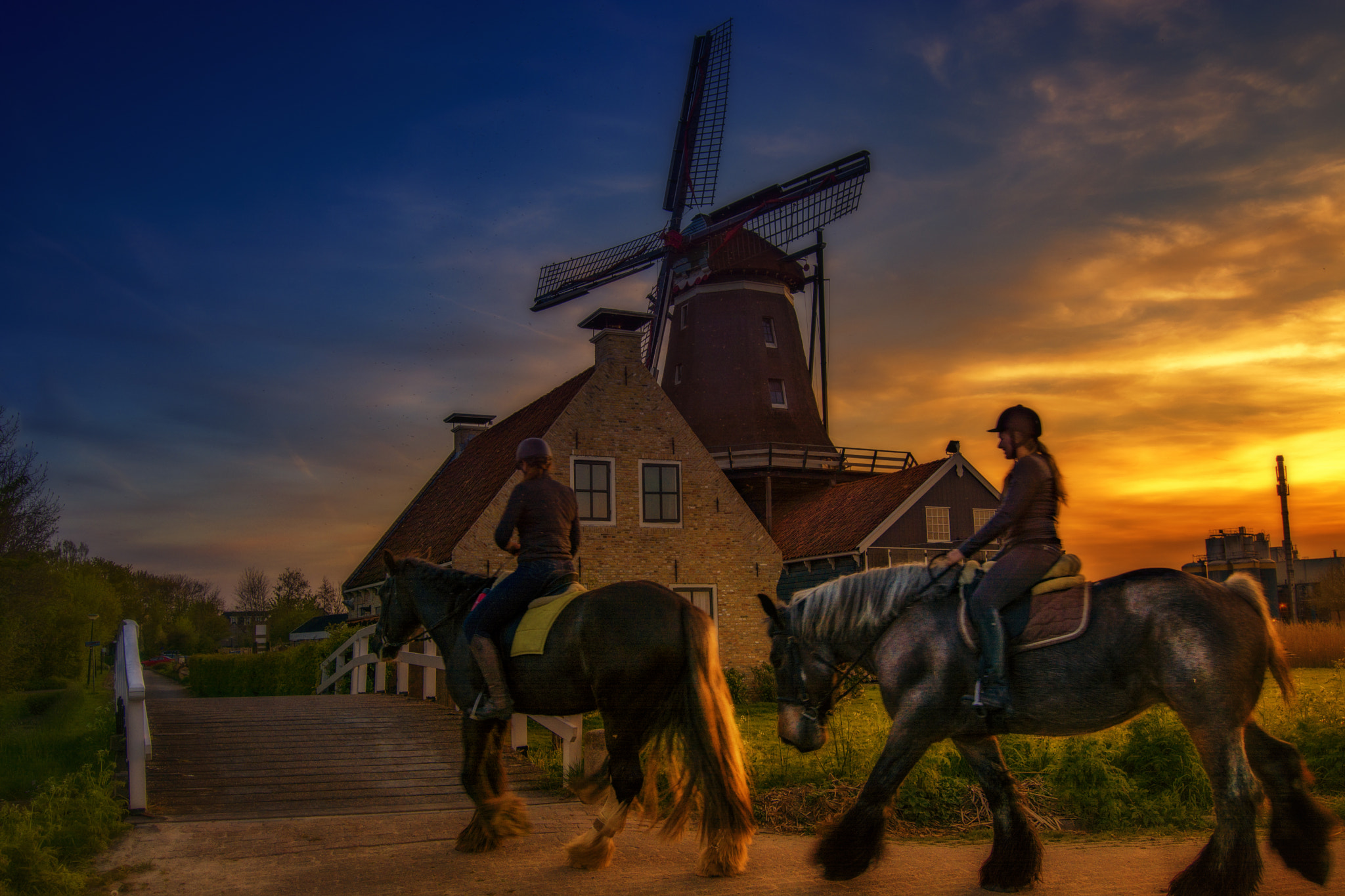 Nikon D7100 + AF-S DX Zoom-Nikkor 18-55mm f/3.5-5.6G ED sample photo. Belgian horses in front of the woodmill in ijlst the netherlands zonder watermark photography