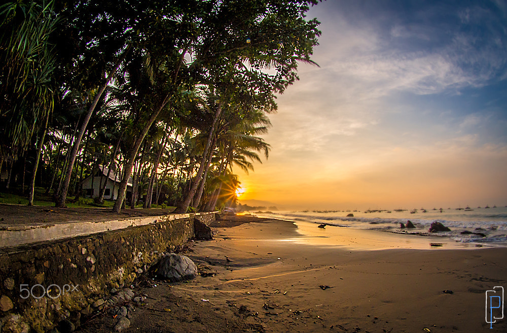 OLYMPUS 8mm Lens sample photo. Beach photography