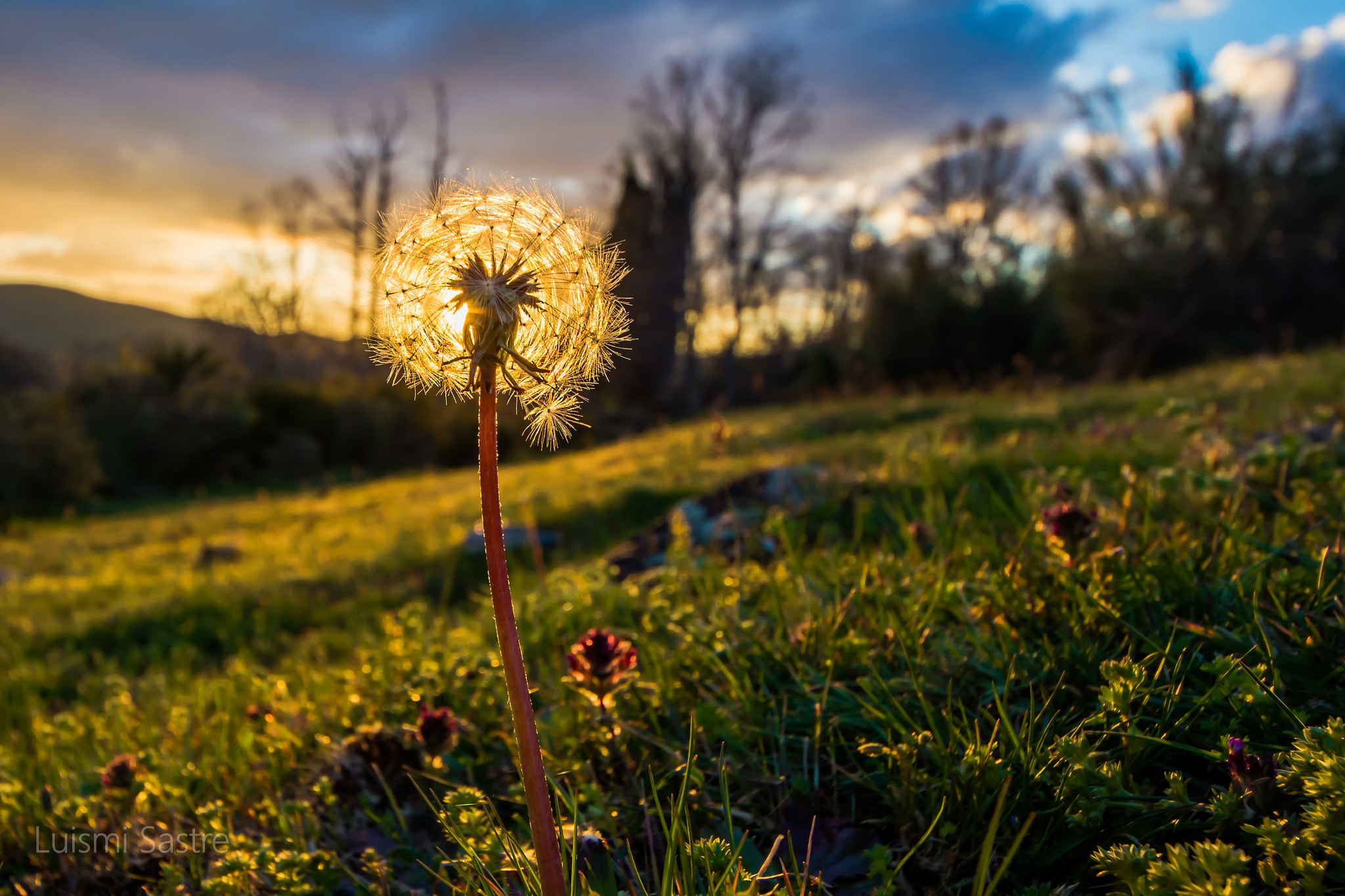 Sigma 8-16mm F4.5-5.6 DC HSM sample photo. Farolillo photography