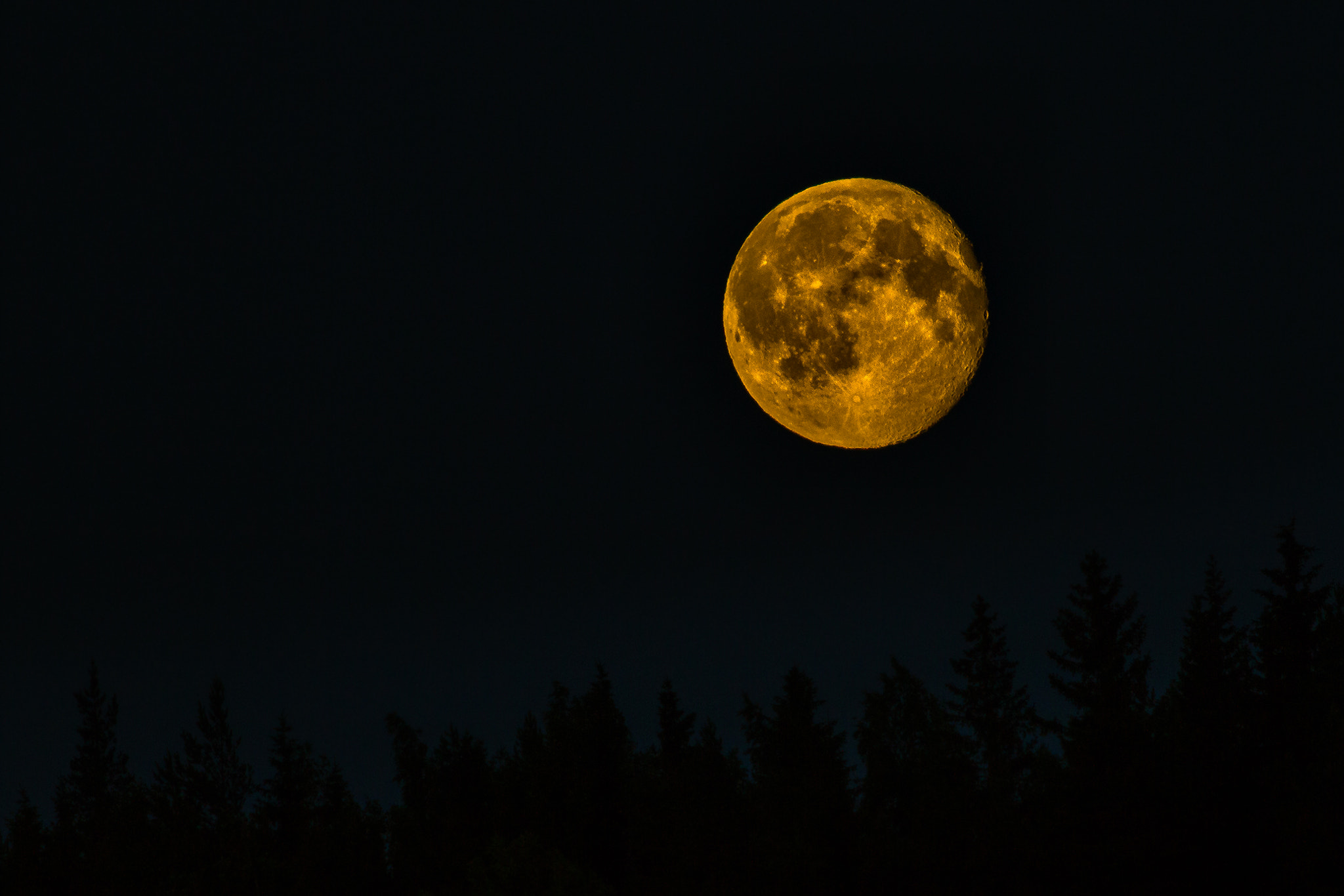Canon EF 200mm f/2.8L II + 2x sample photo. Full moon photography