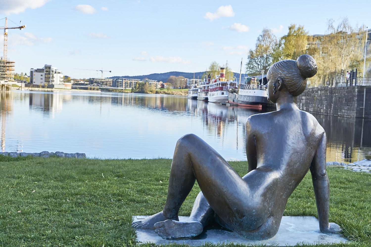 Sony a6000 + Sony Vario Tessar T* FE 24-70mm F4 ZA OSS sample photo. A view from a sculpture over the river of skien in norway photography