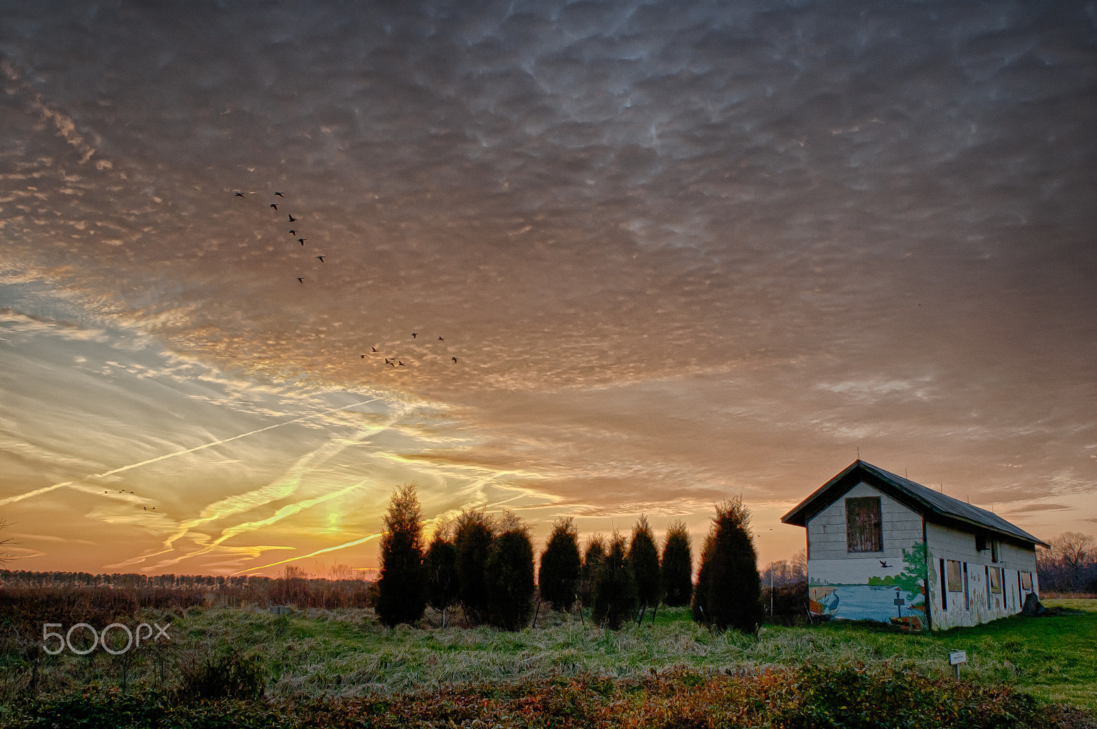 Nikon D70 + Nikon AF Nikkor 24mm F2.8D sample photo. Sunset on pickering creek photography