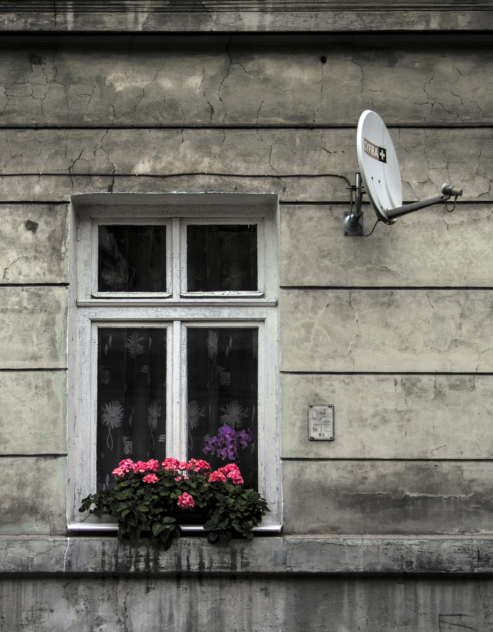 Canon EF-S 18-55mm F3.5-5.6 sample photo. Krakow photography