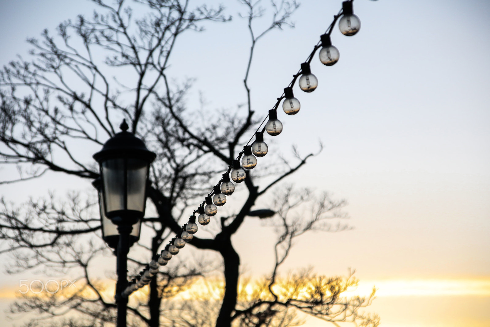 Canon EOS 5DS sample photo. 2p7a1038.jpg photography