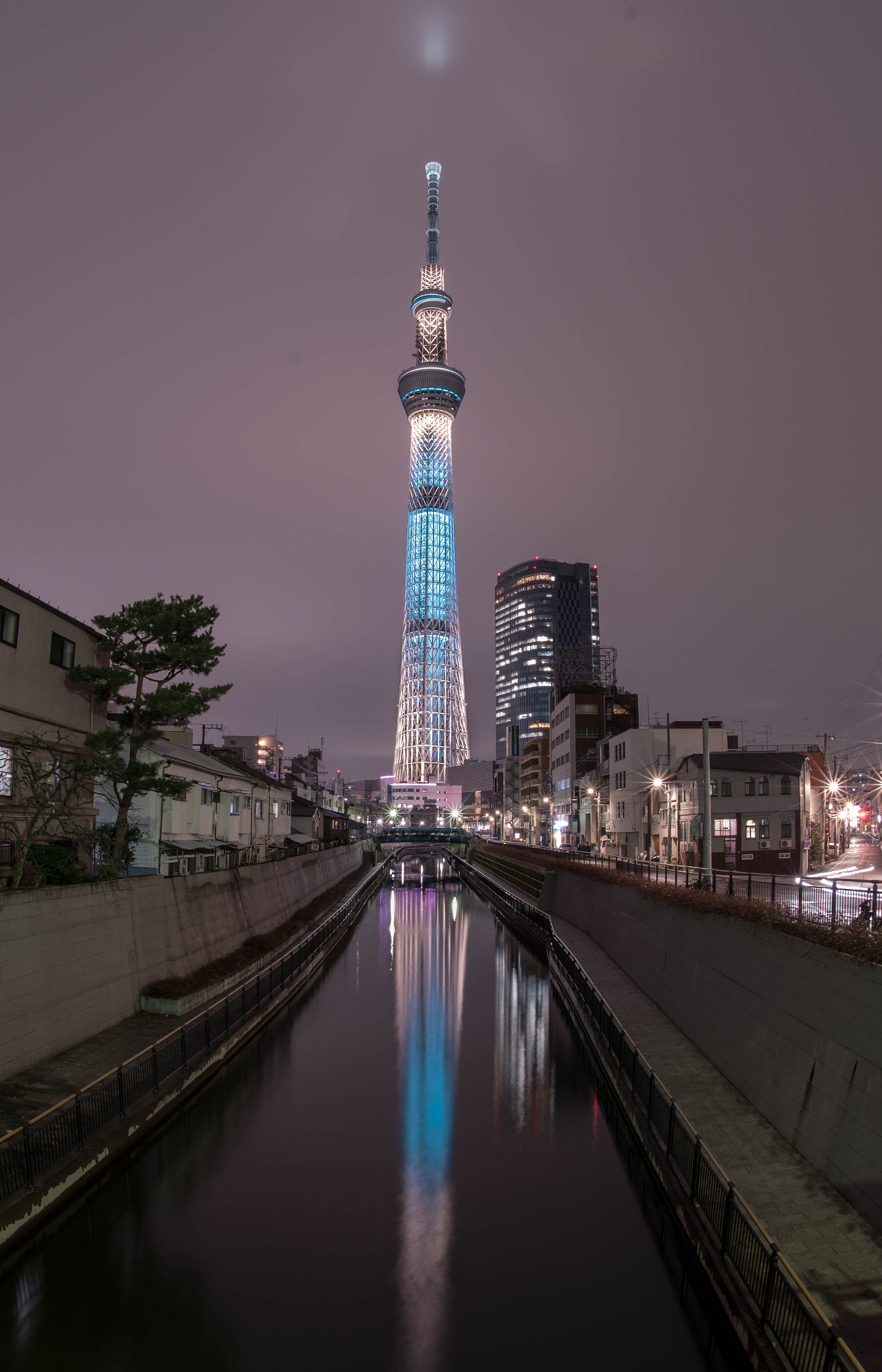 Sigma 15mm F2.8 EX DG Diagonal Fisheye sample photo. Sky tree photography