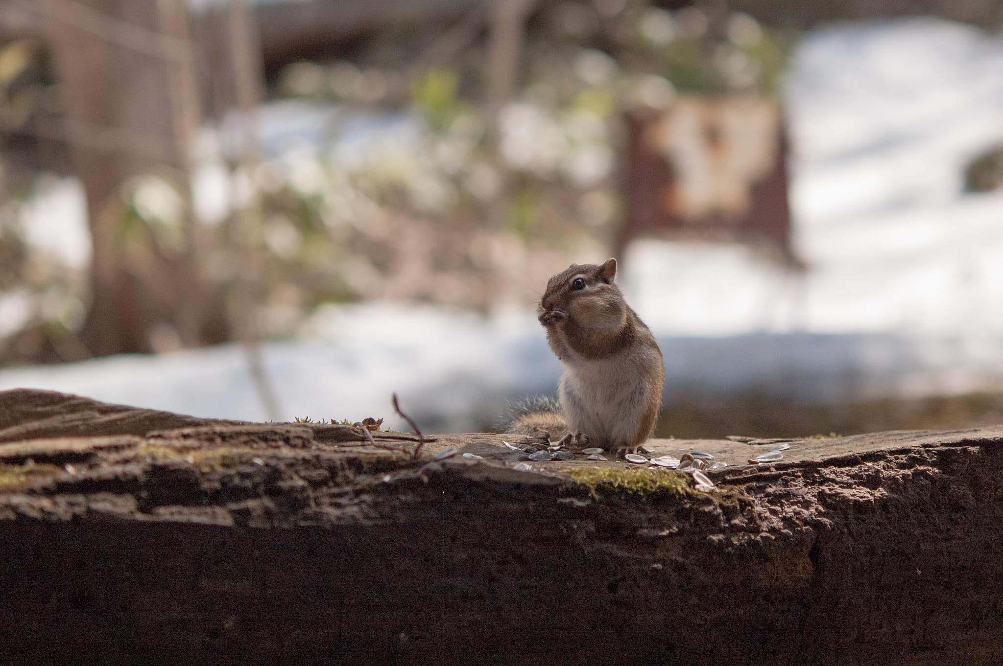 Nikon D70s sample photo. Up photography
