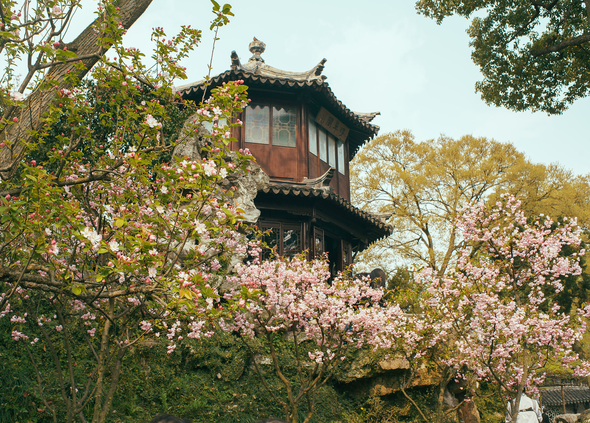 Minolta AF 35mm F2 [New] sample photo. 拙政园之春 photography