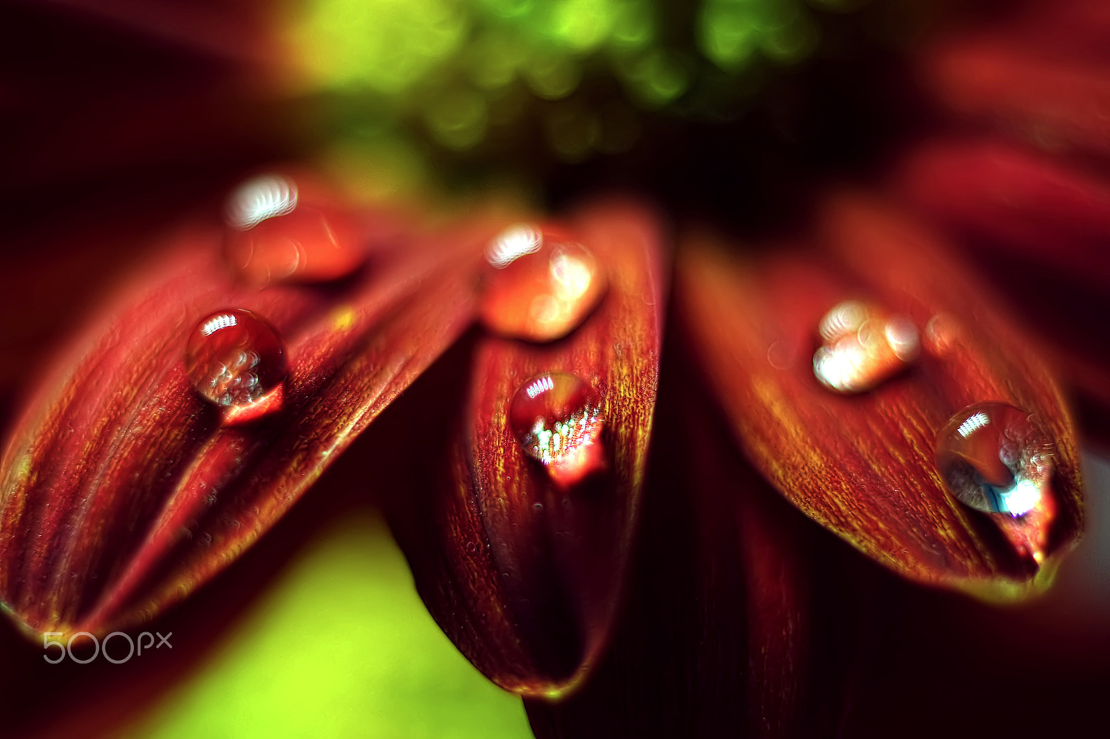NX 30mm F2 sample photo. Triple photography