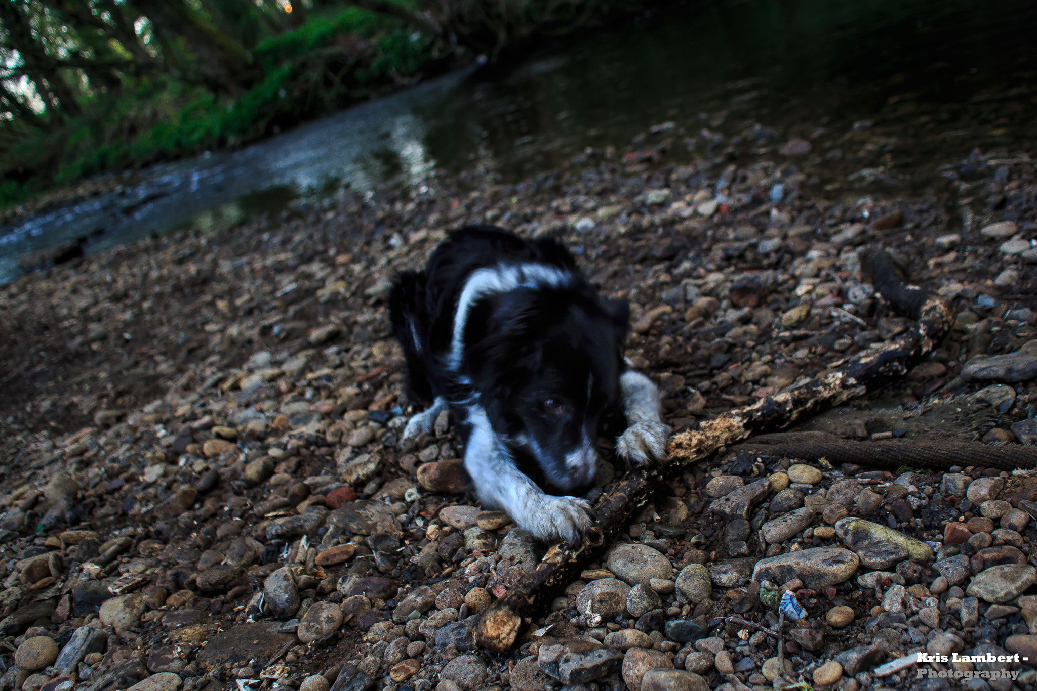 Sigma 18-50mm F2.8-4.5 DC OS HSM sample photo. Emily #1 photography